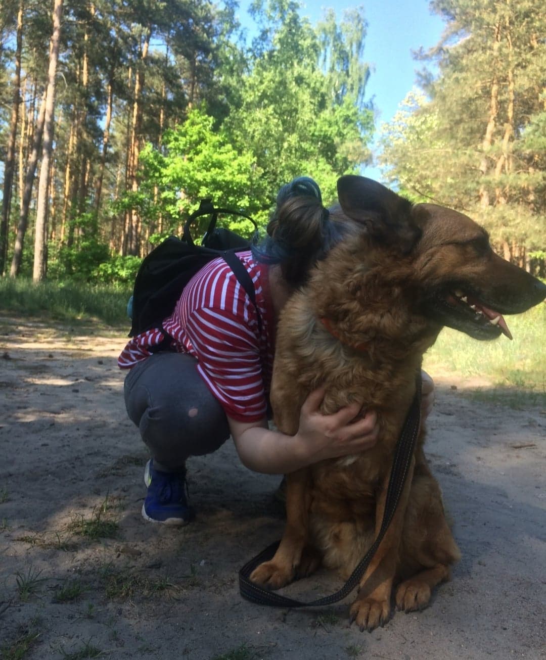 image-6