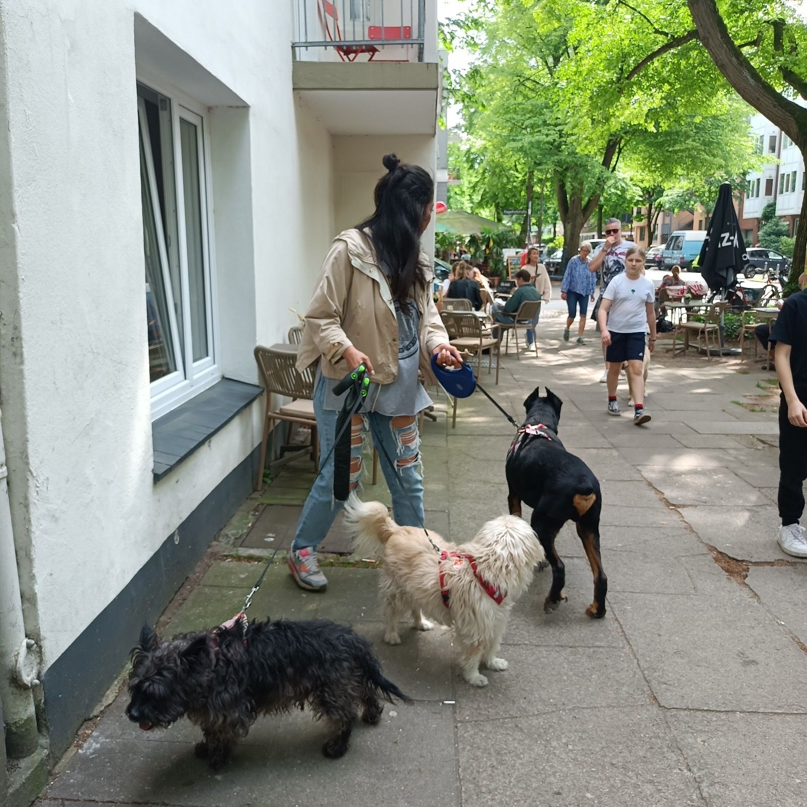 image-7