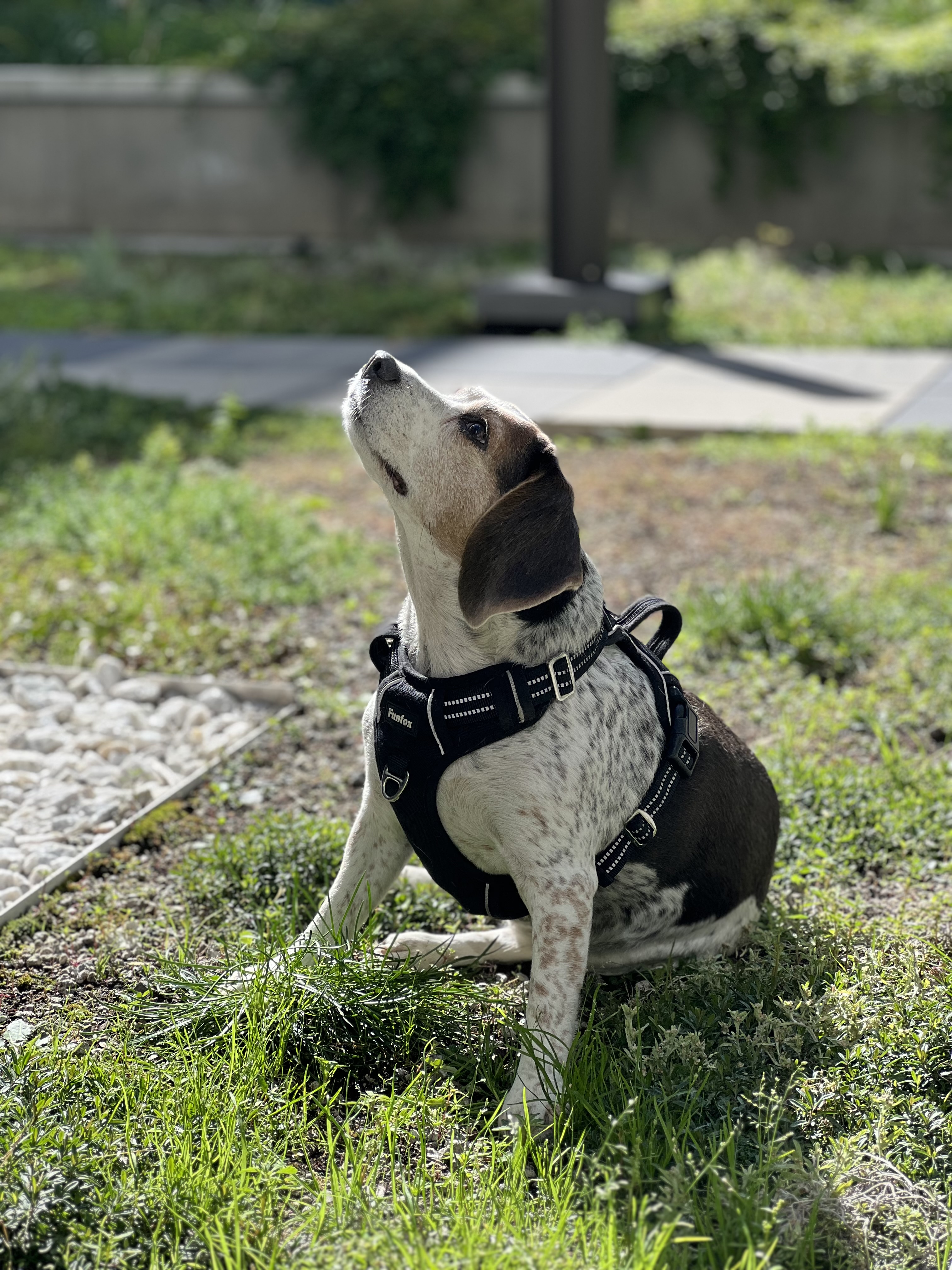 image-18