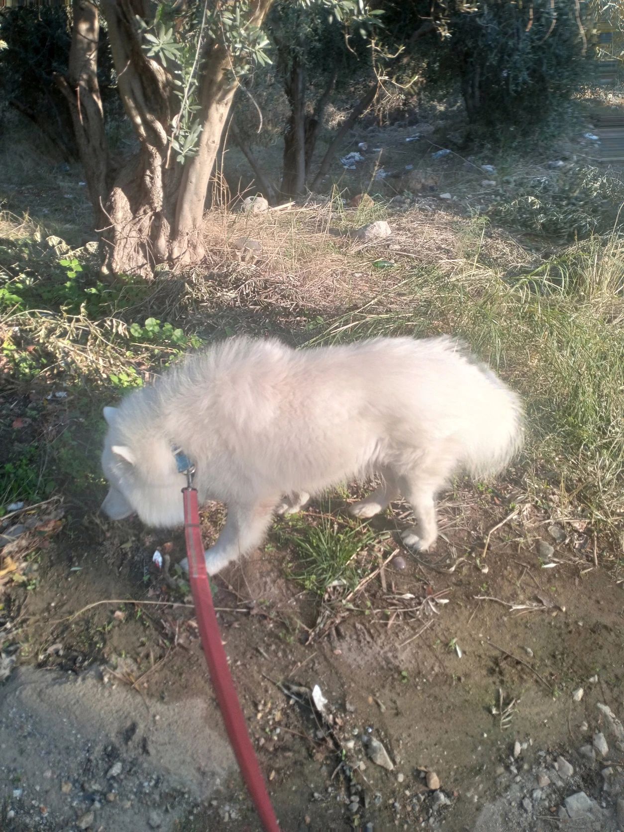 image-9