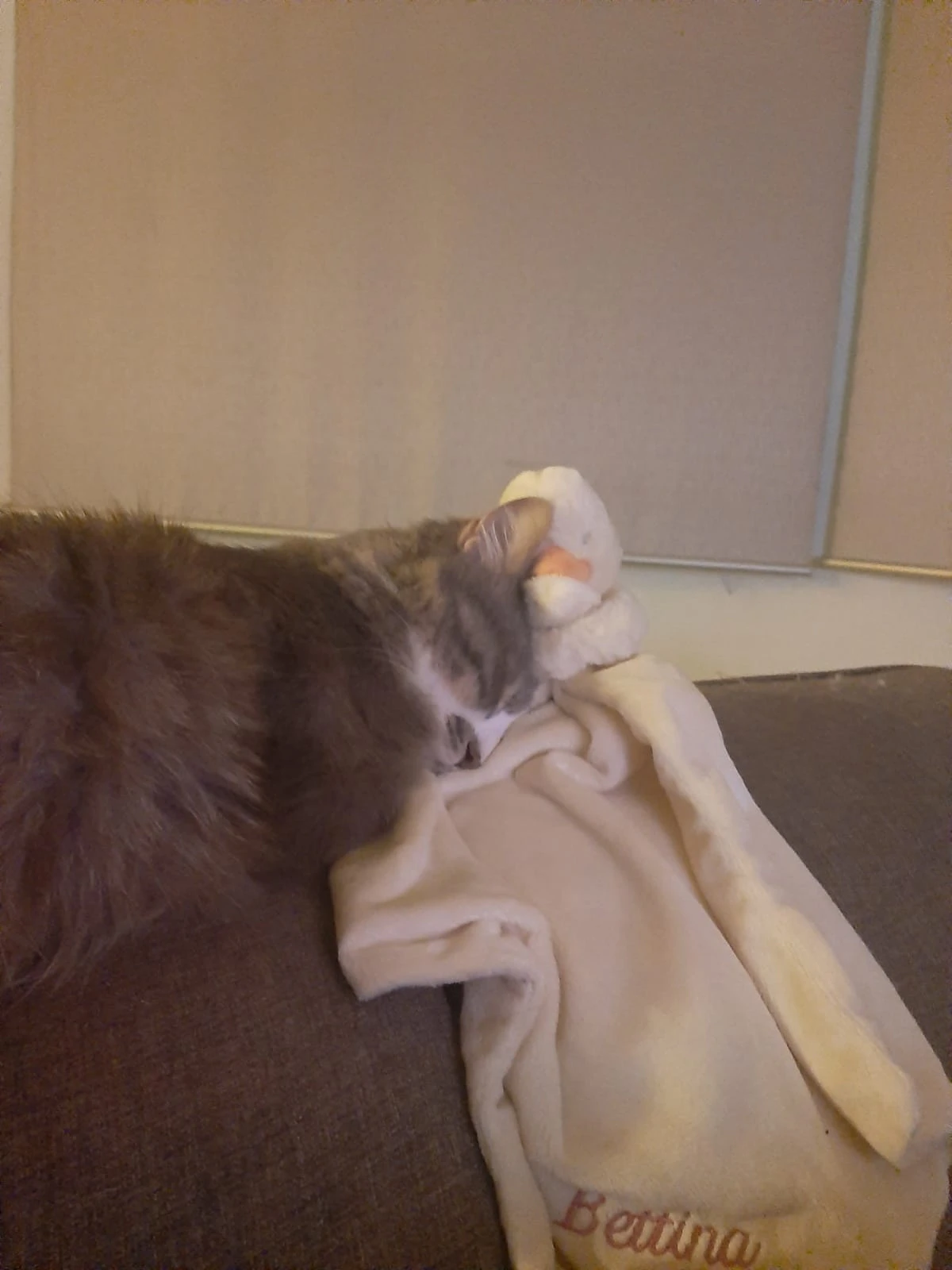 image-5