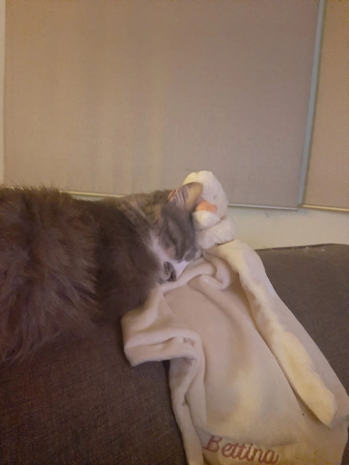 image-5
