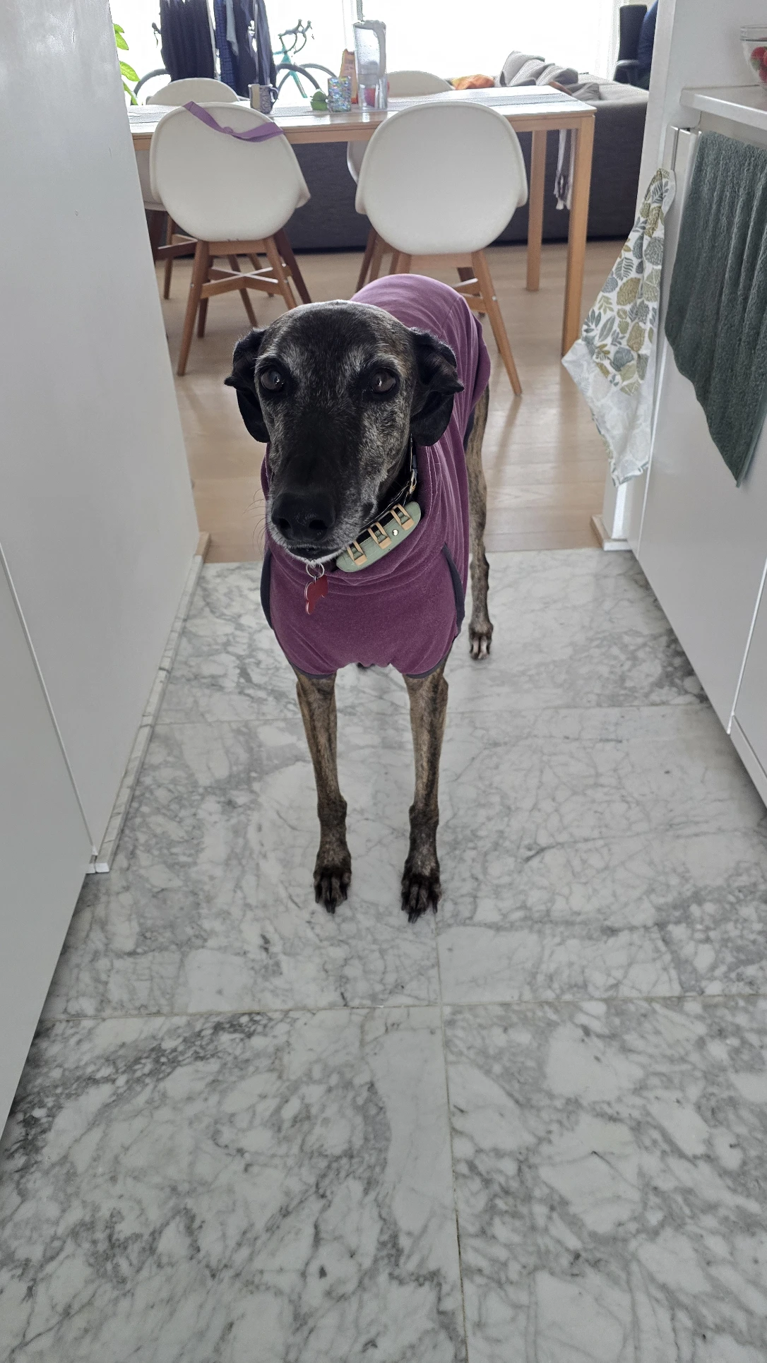 image-20