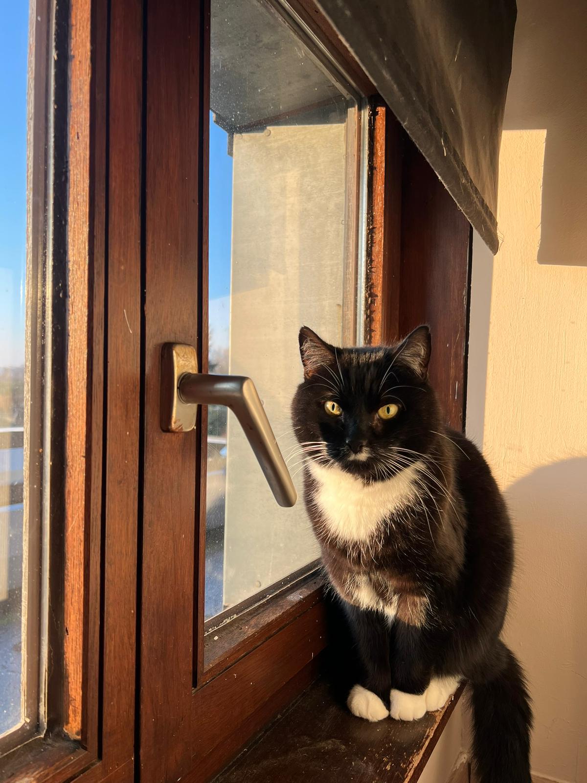 image-6