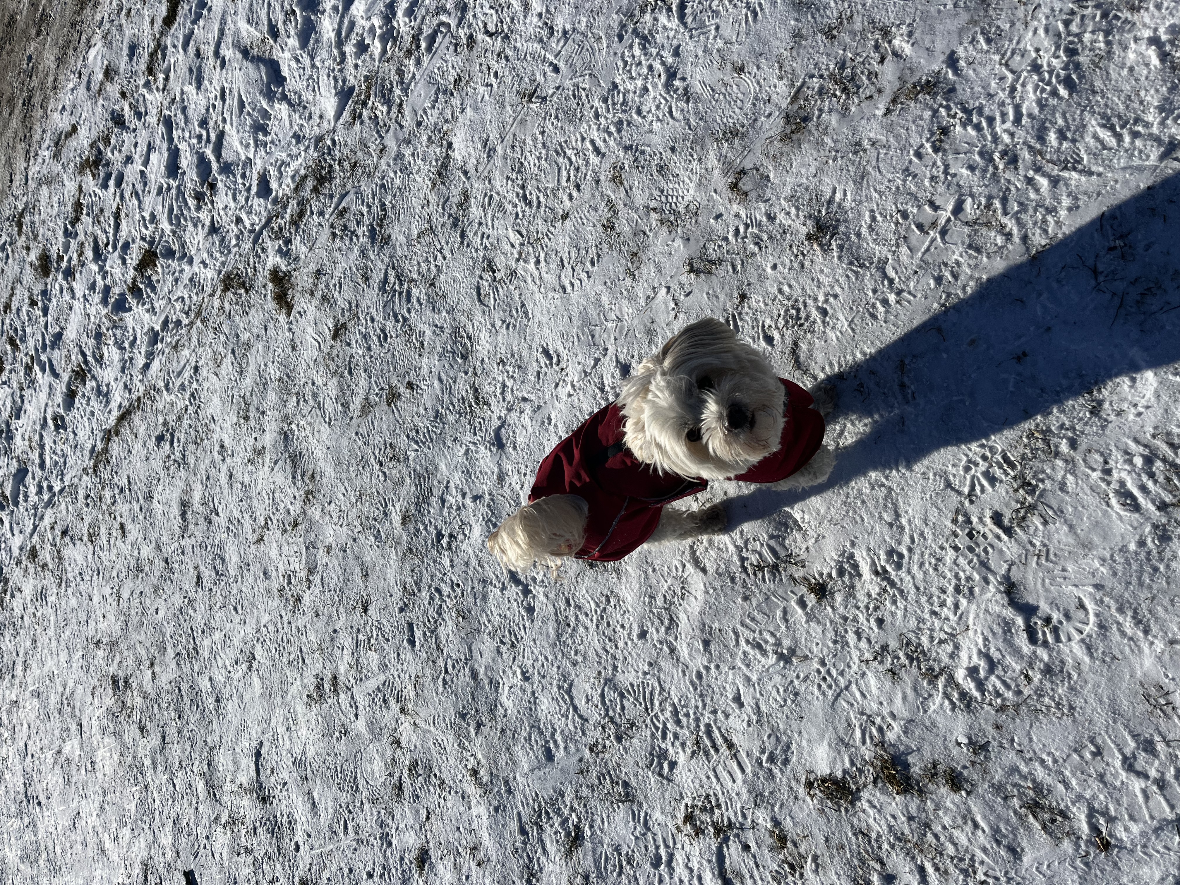 image-7
