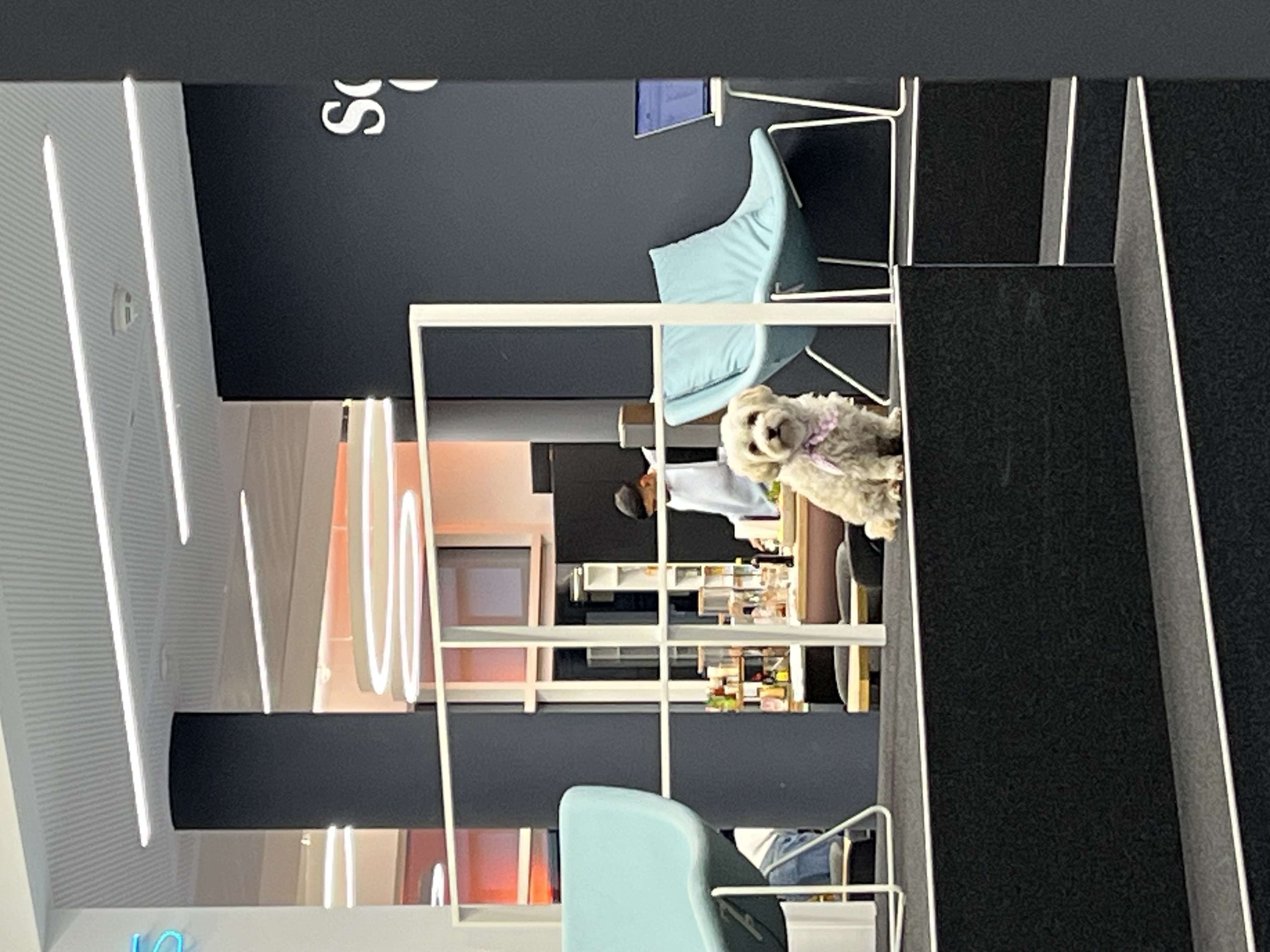 image-8