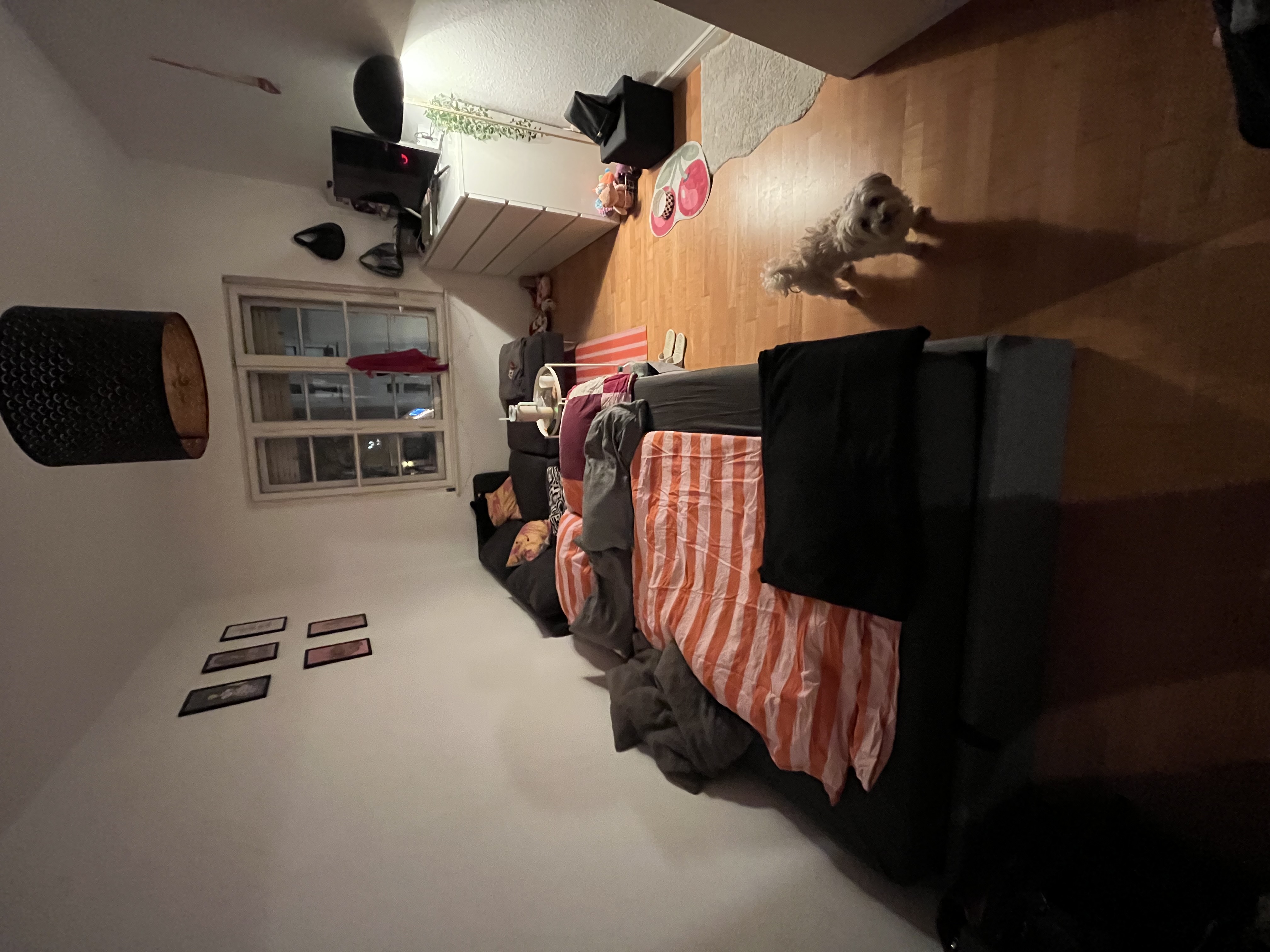 image-16