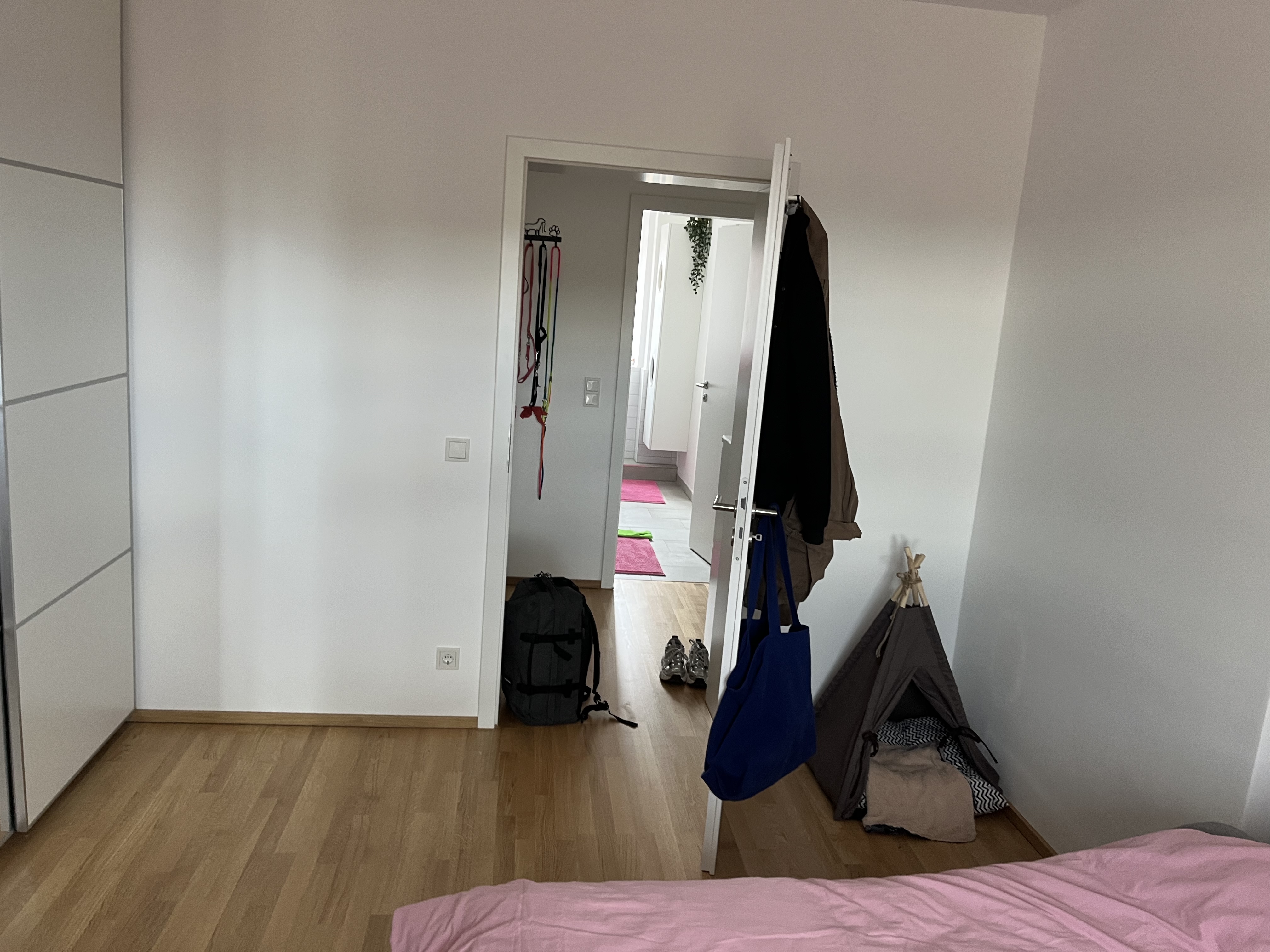 image-20