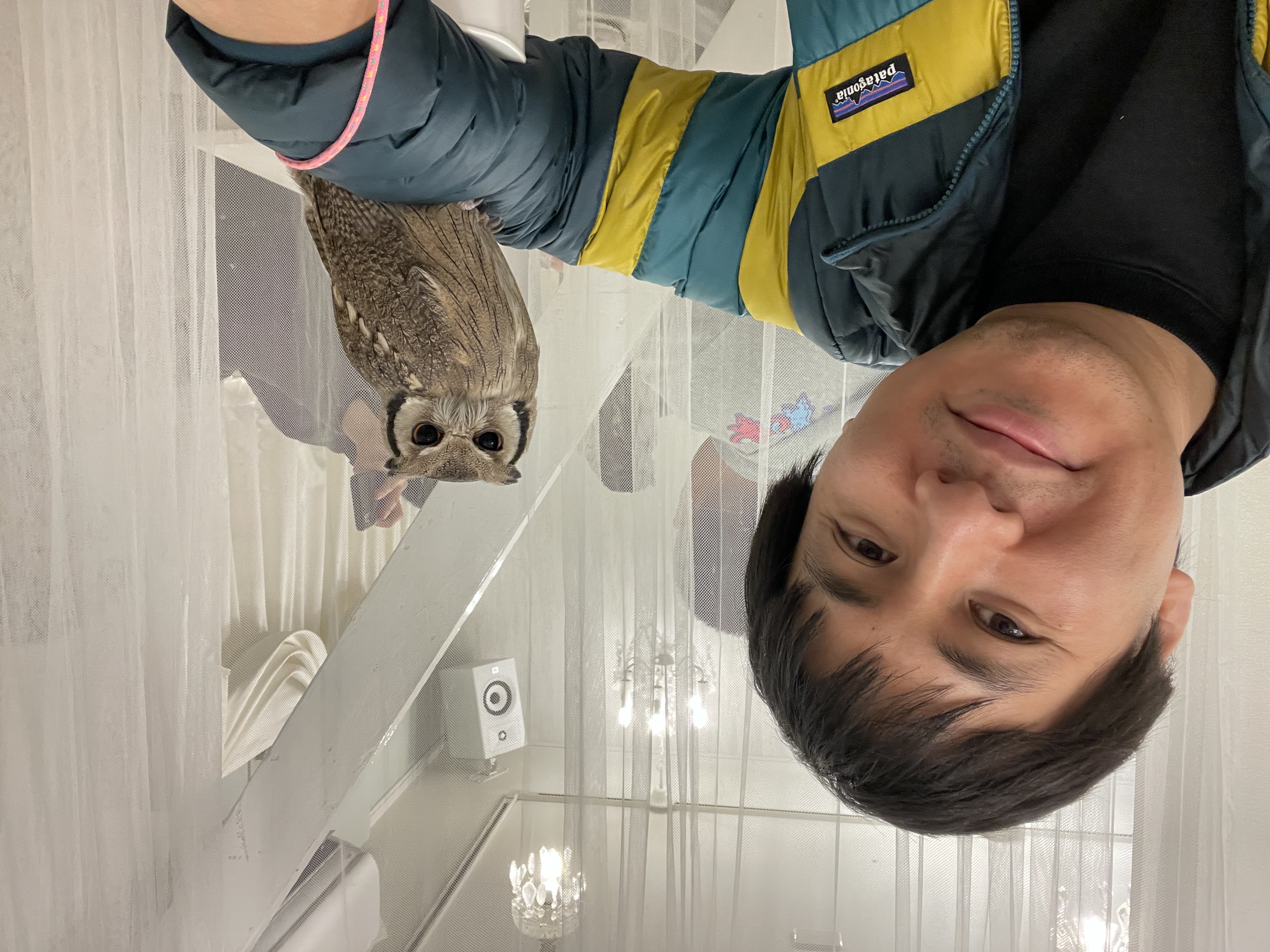 image-6