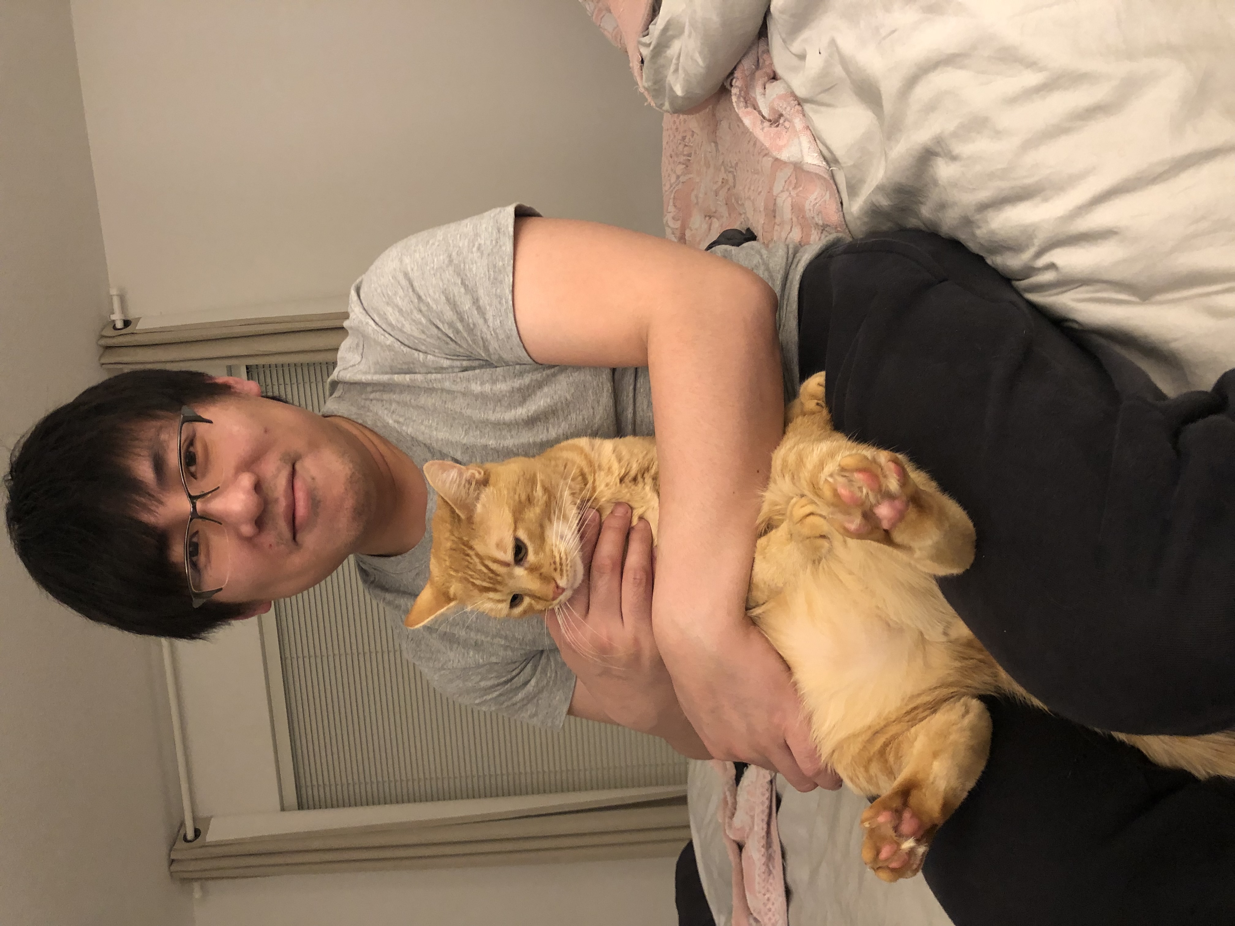 image-8
