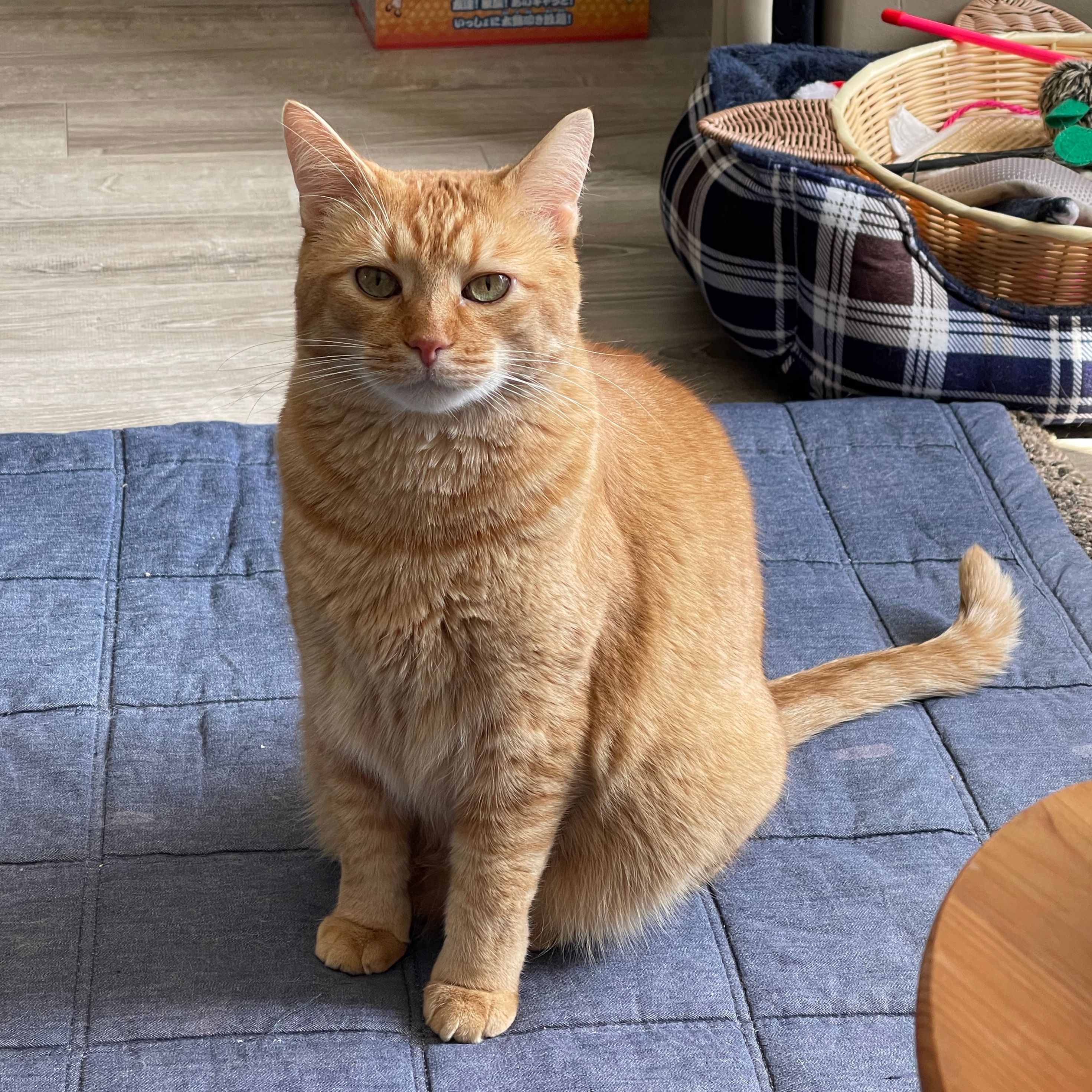 Caramel