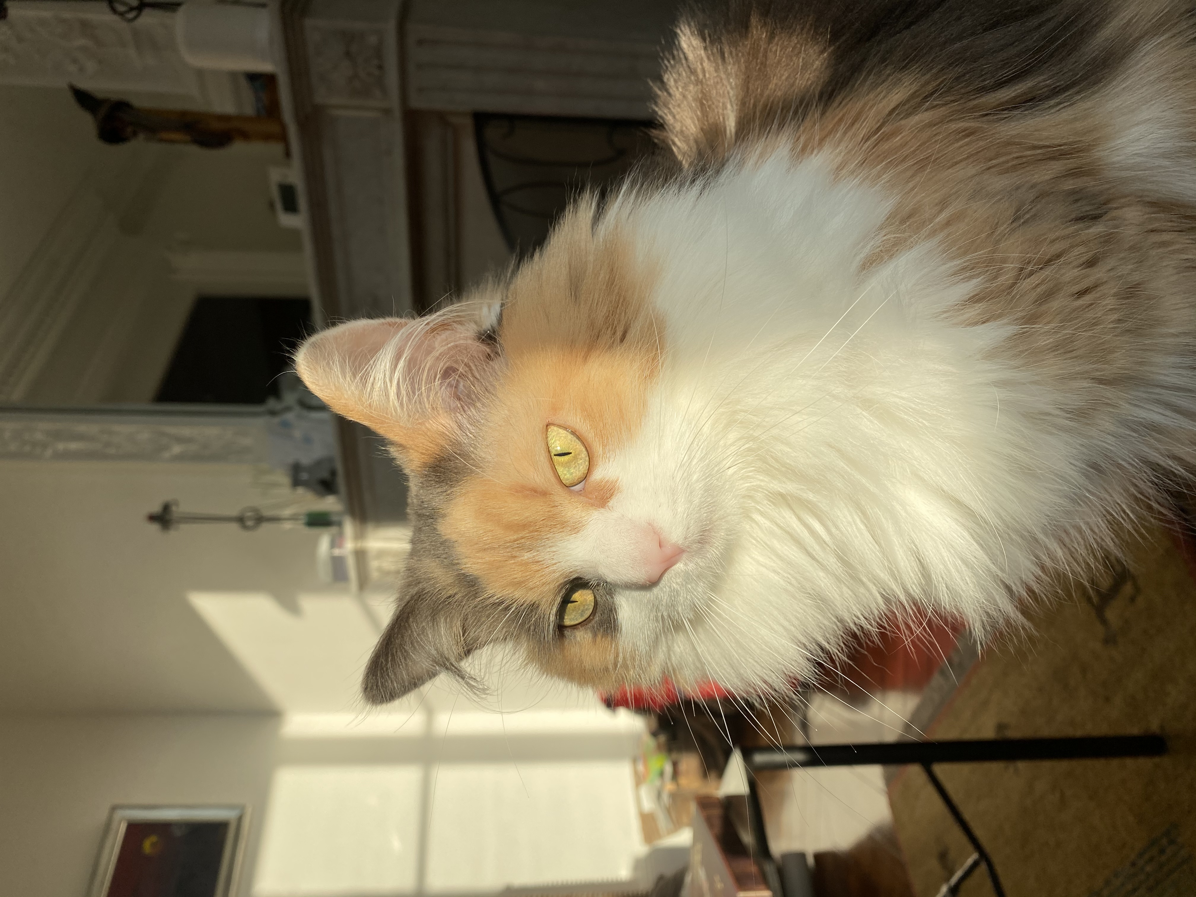 image-6