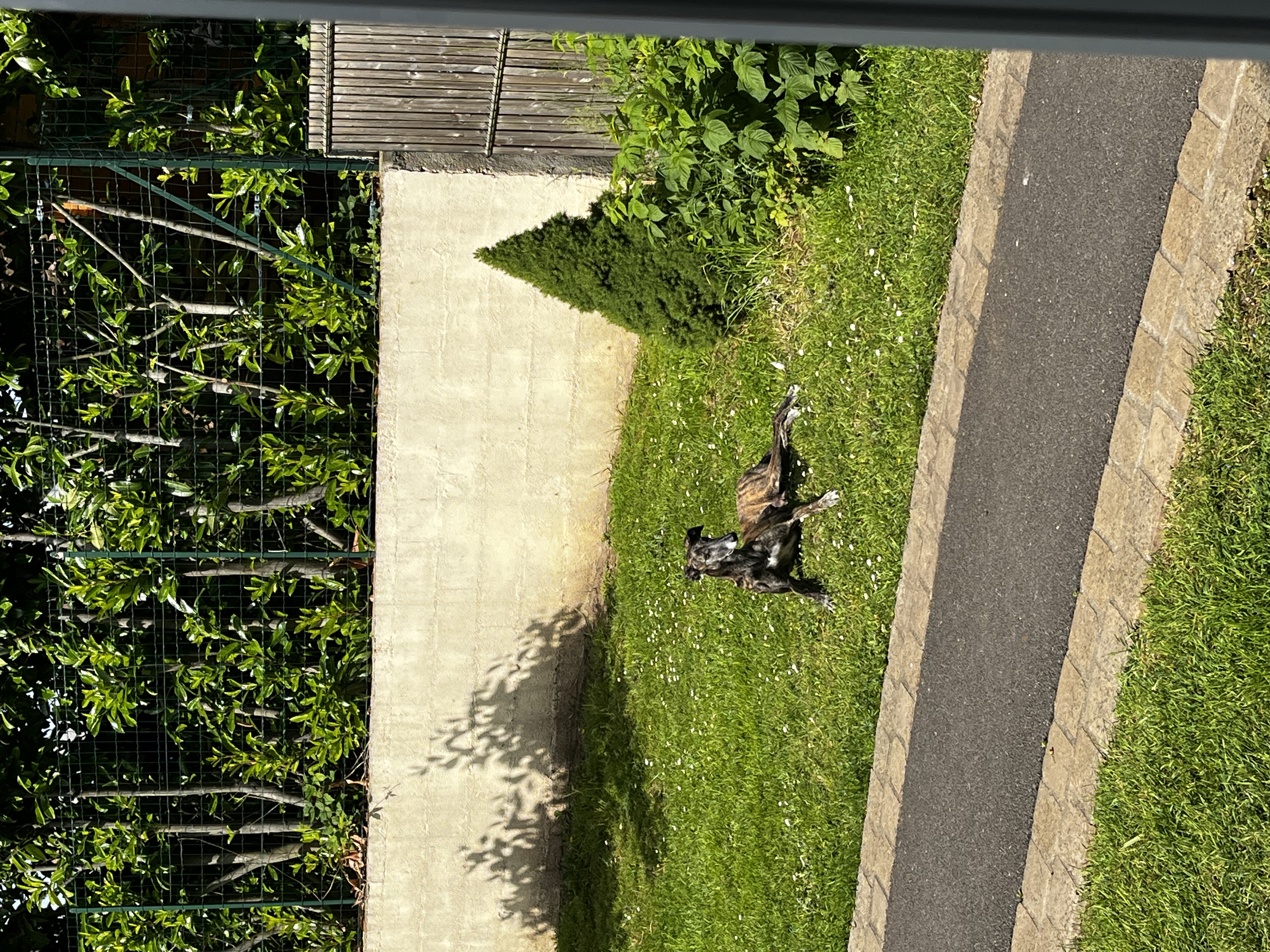 image-15