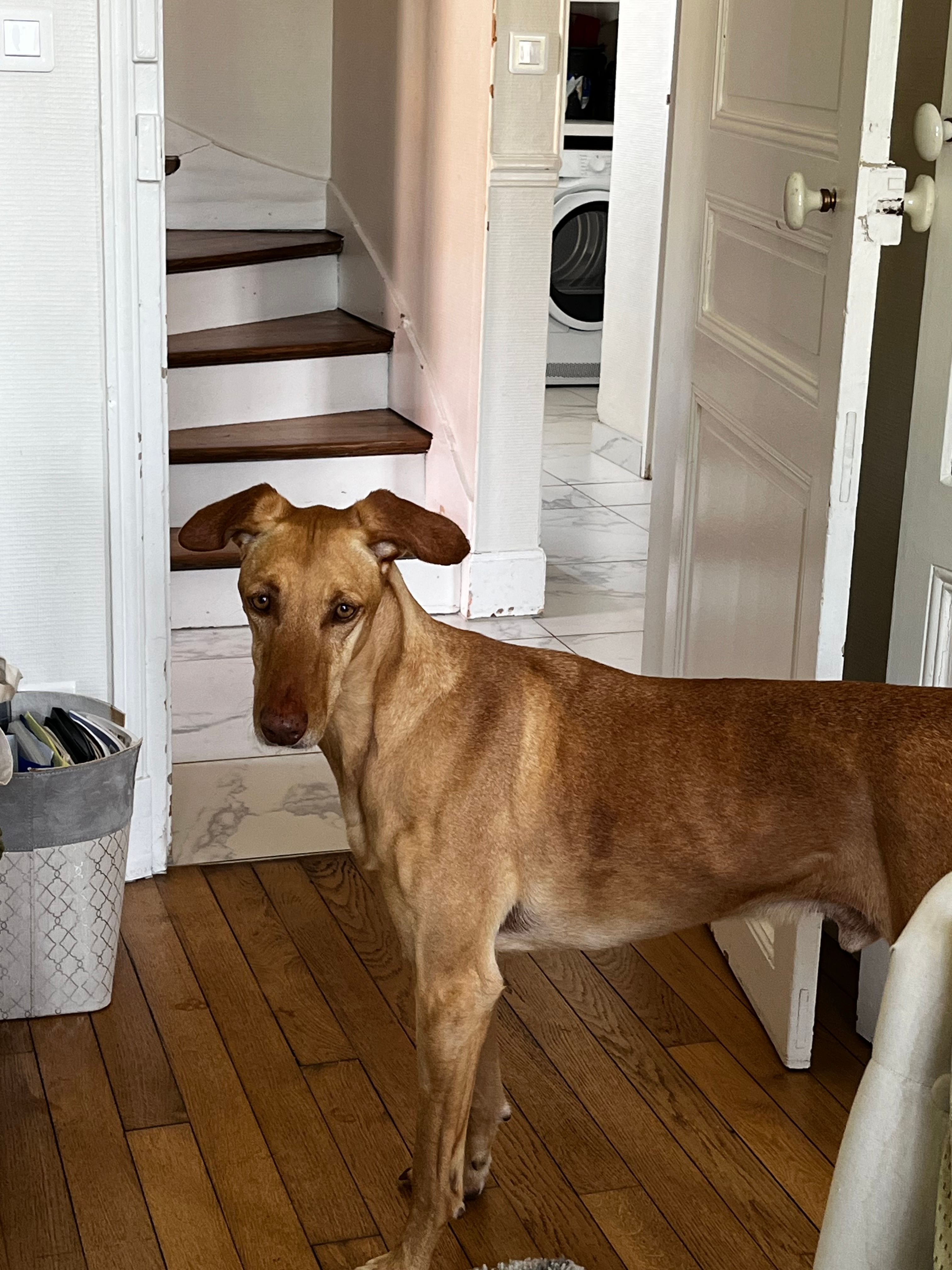 image-16