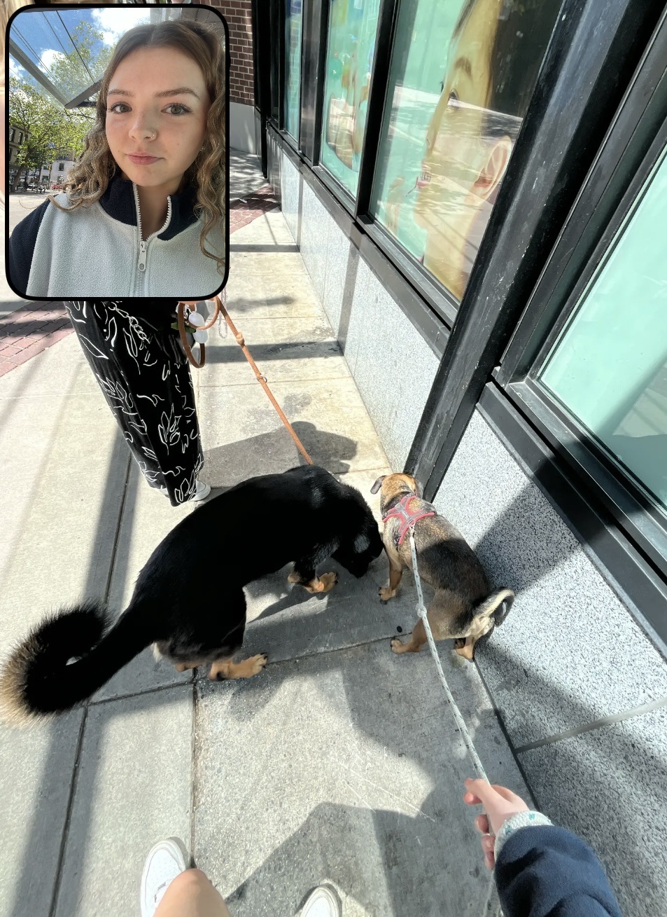 image-2