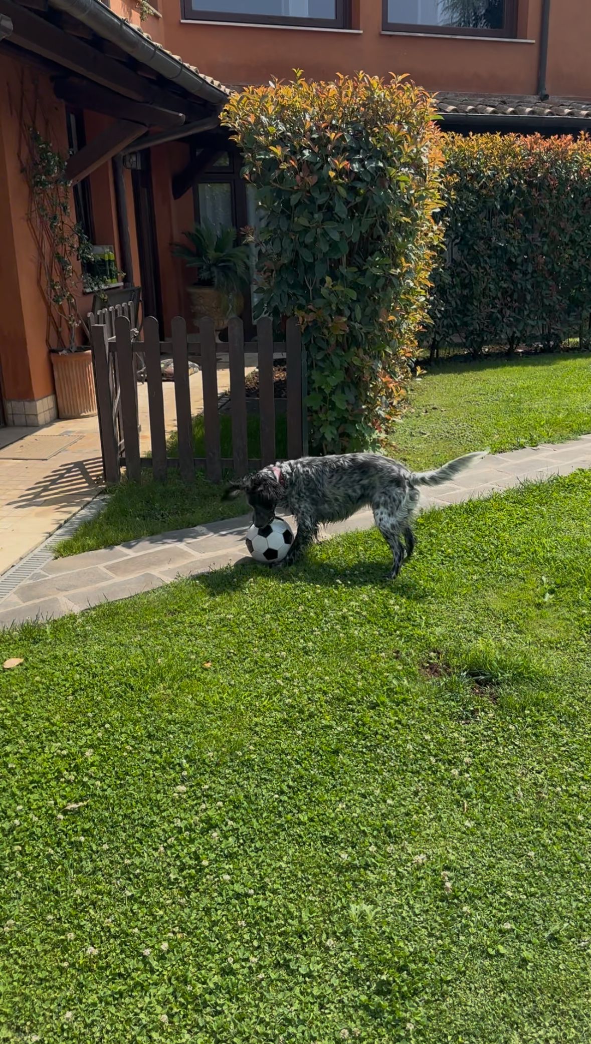 image-14