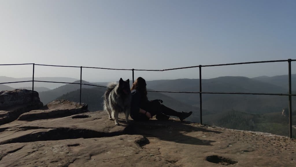 image-4