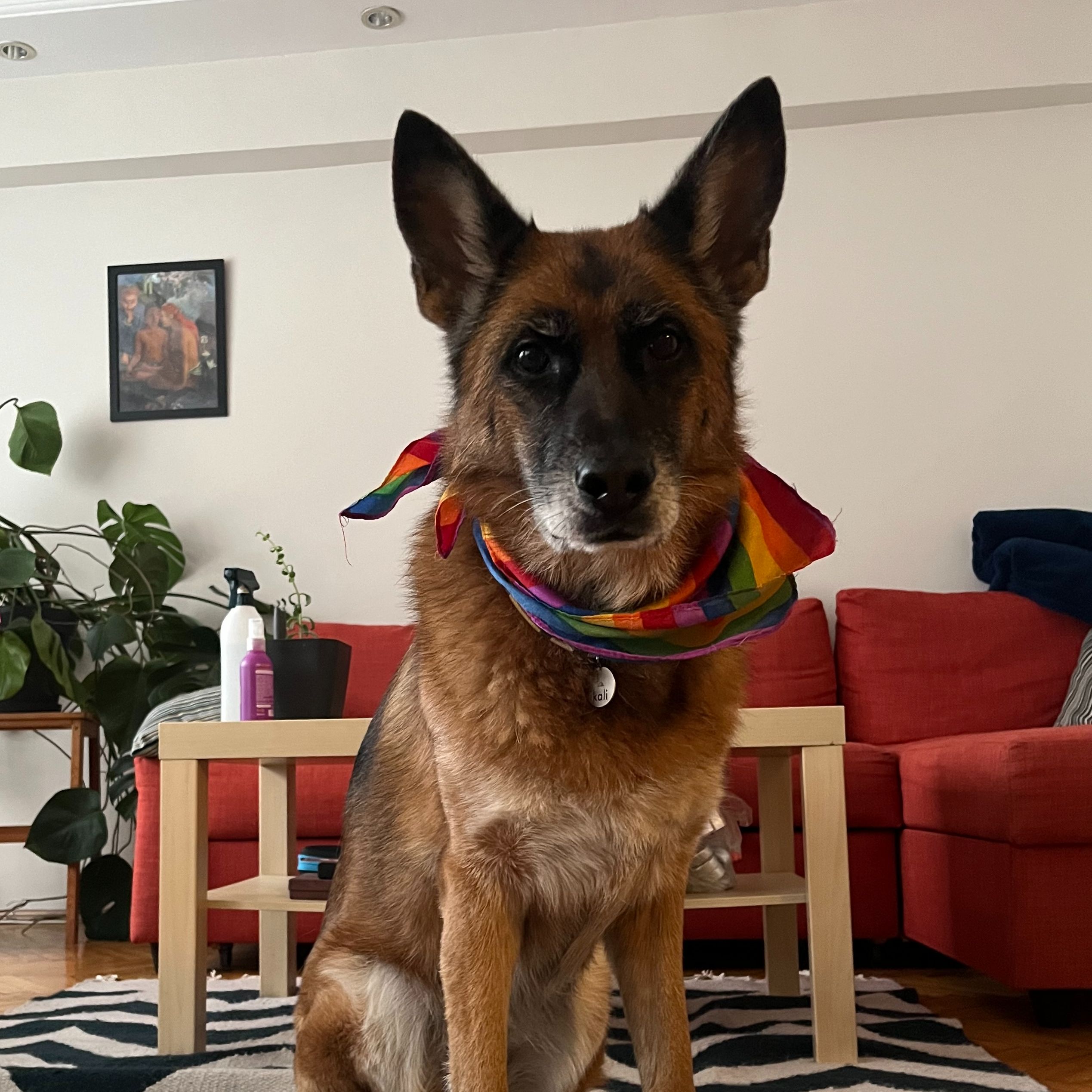Kali