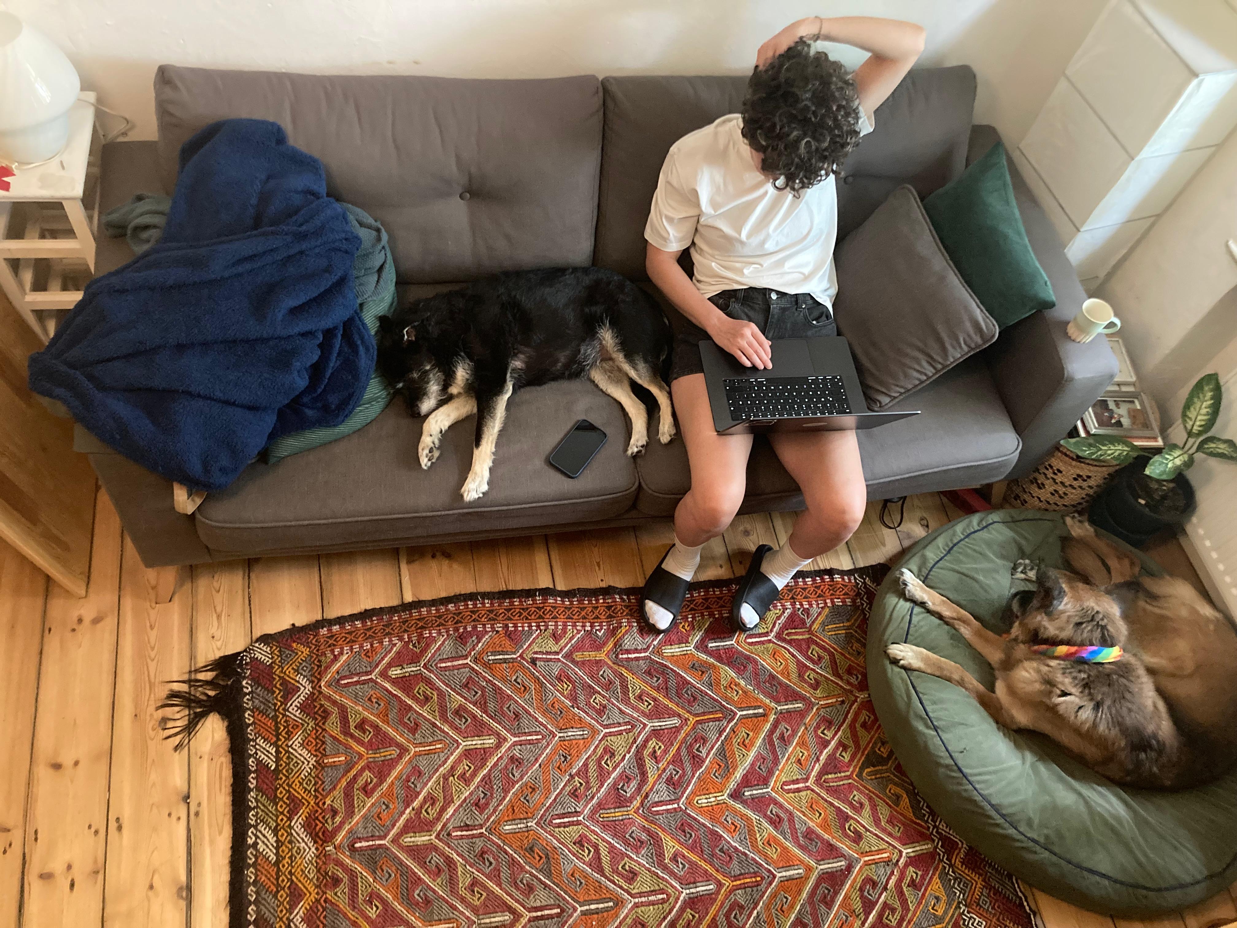 image-16