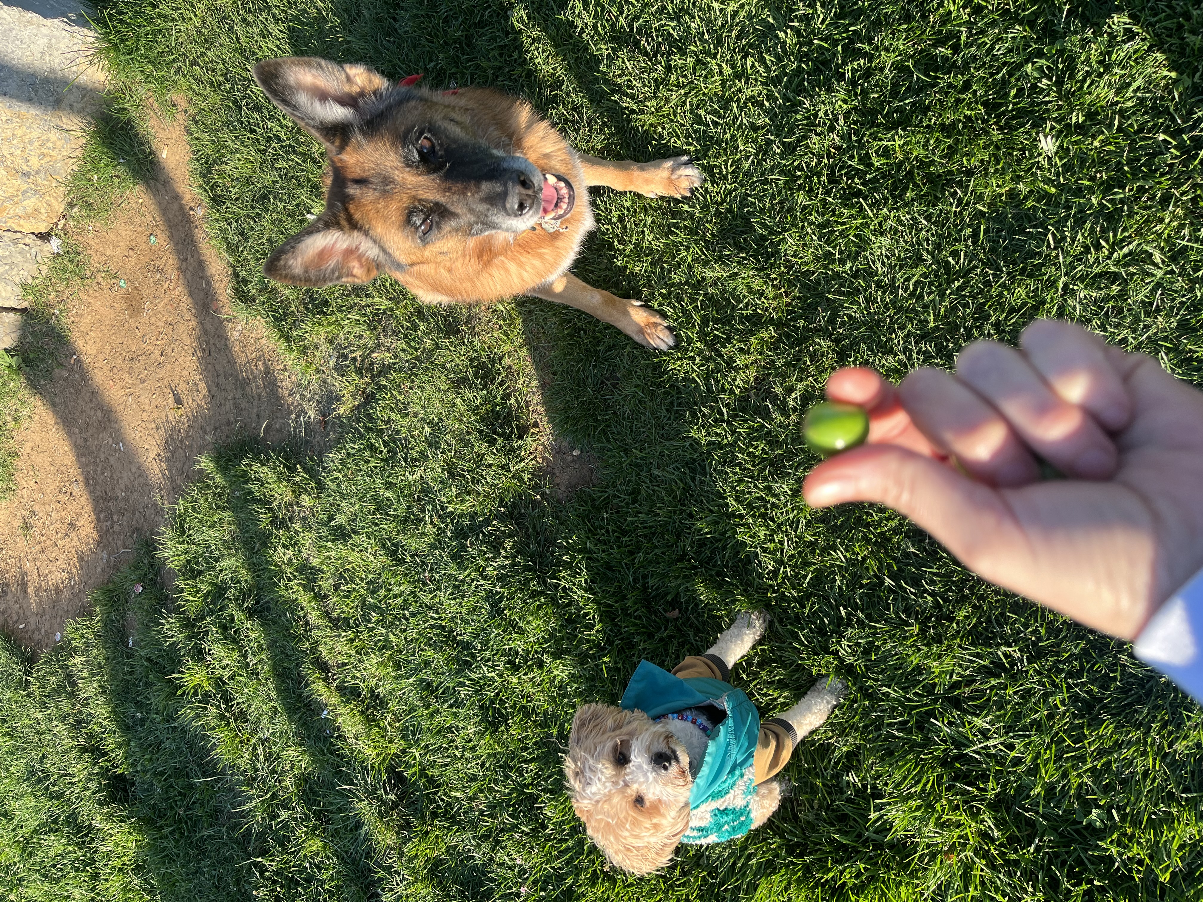 image-9