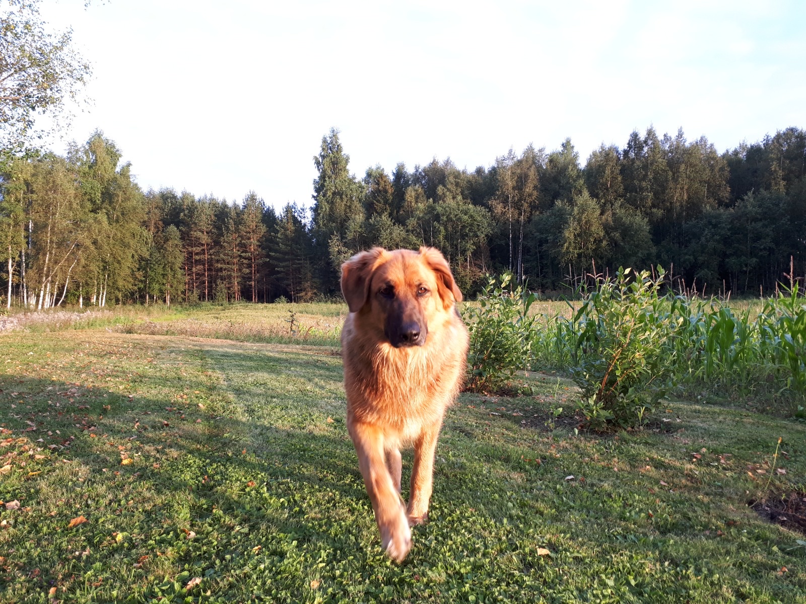 image-7