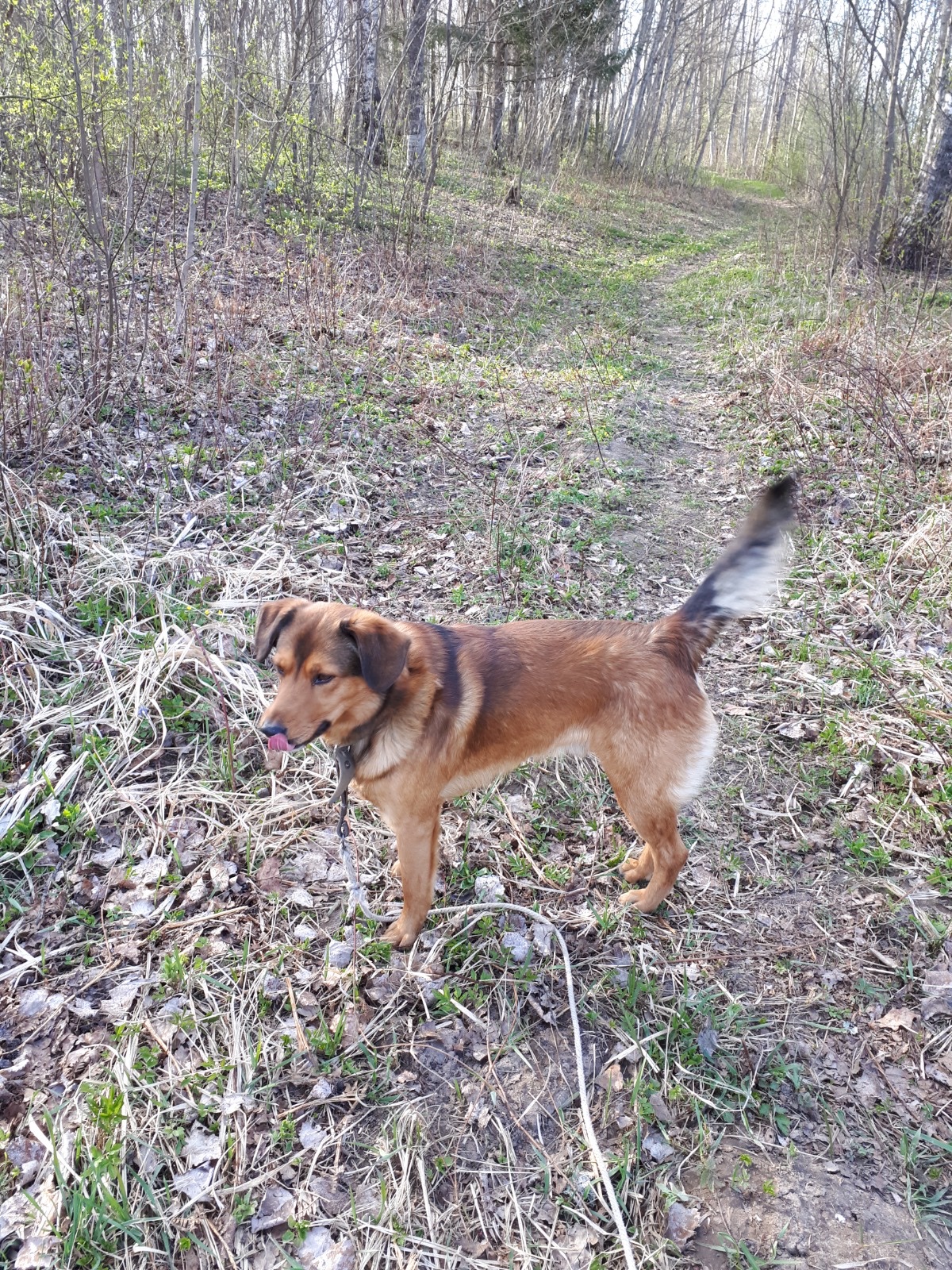 image-6