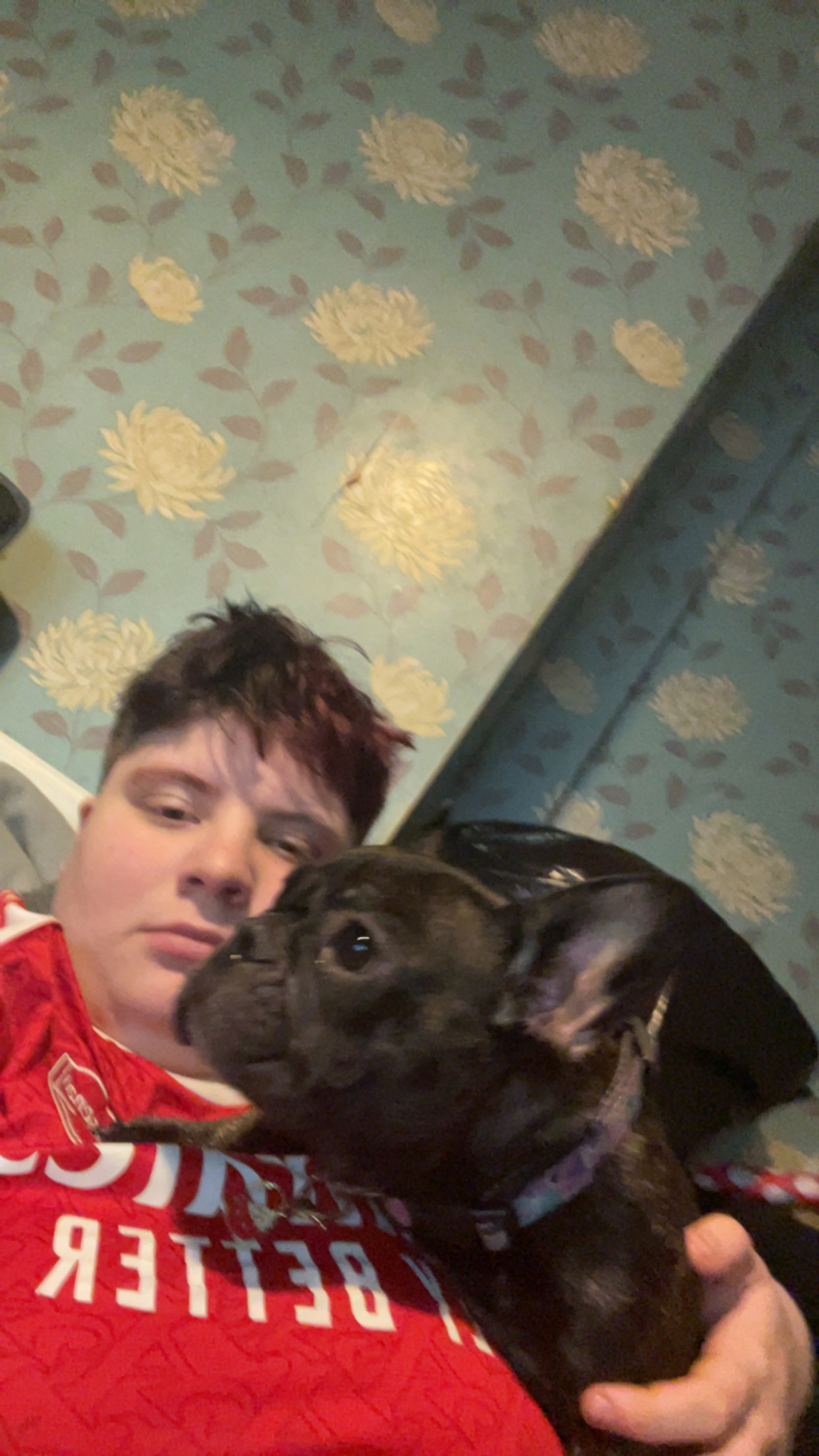 image-6
