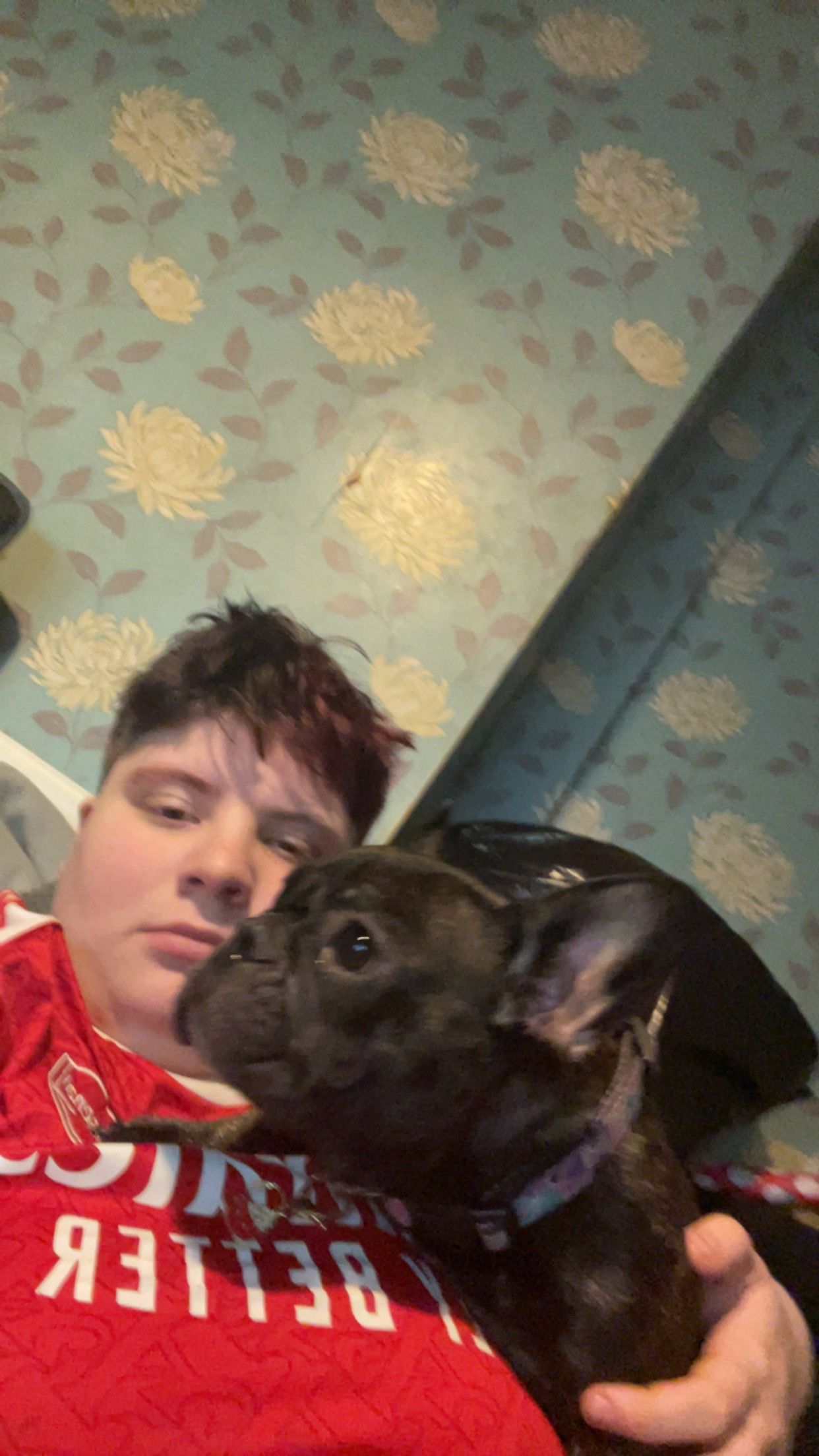 image-6
