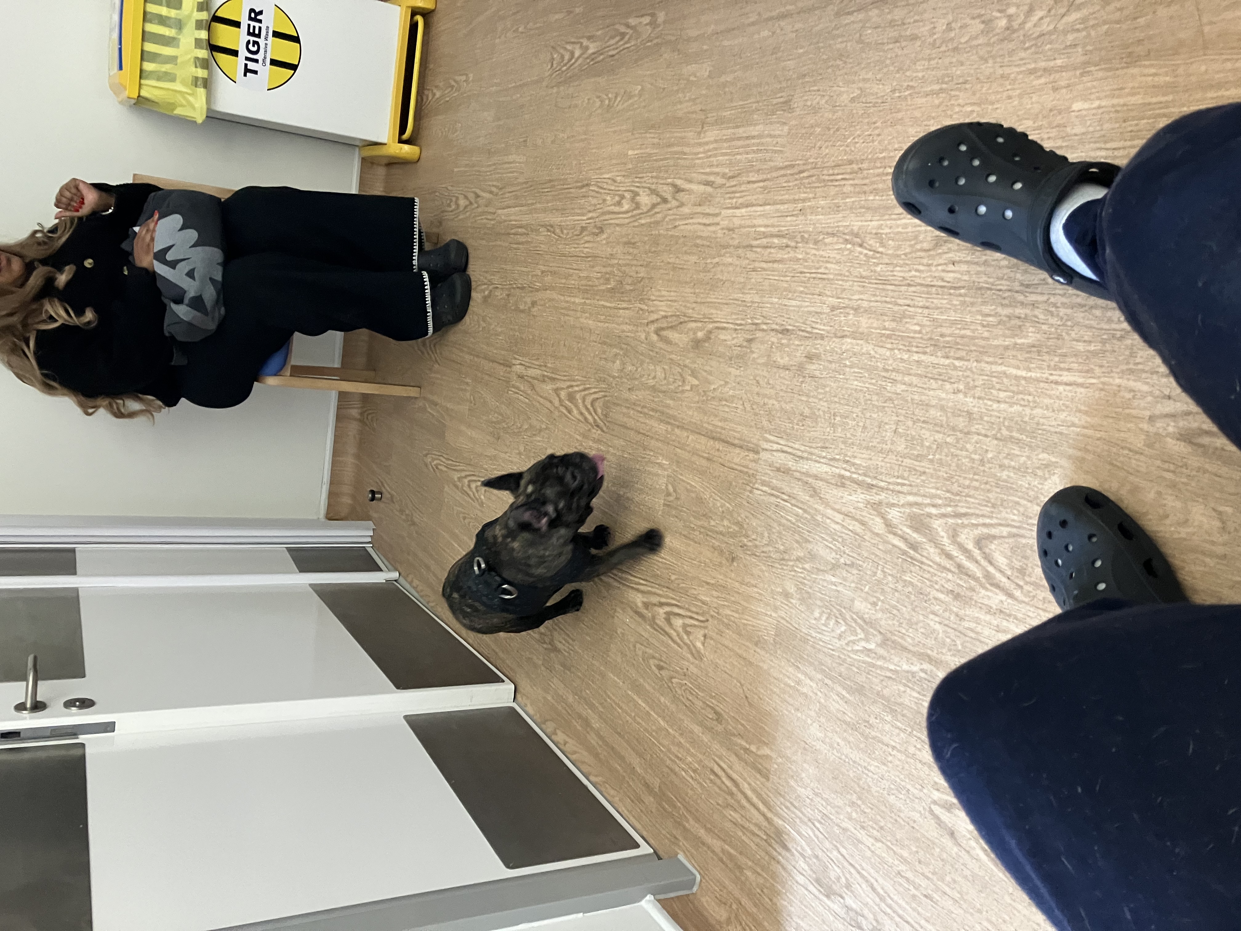 image-8
