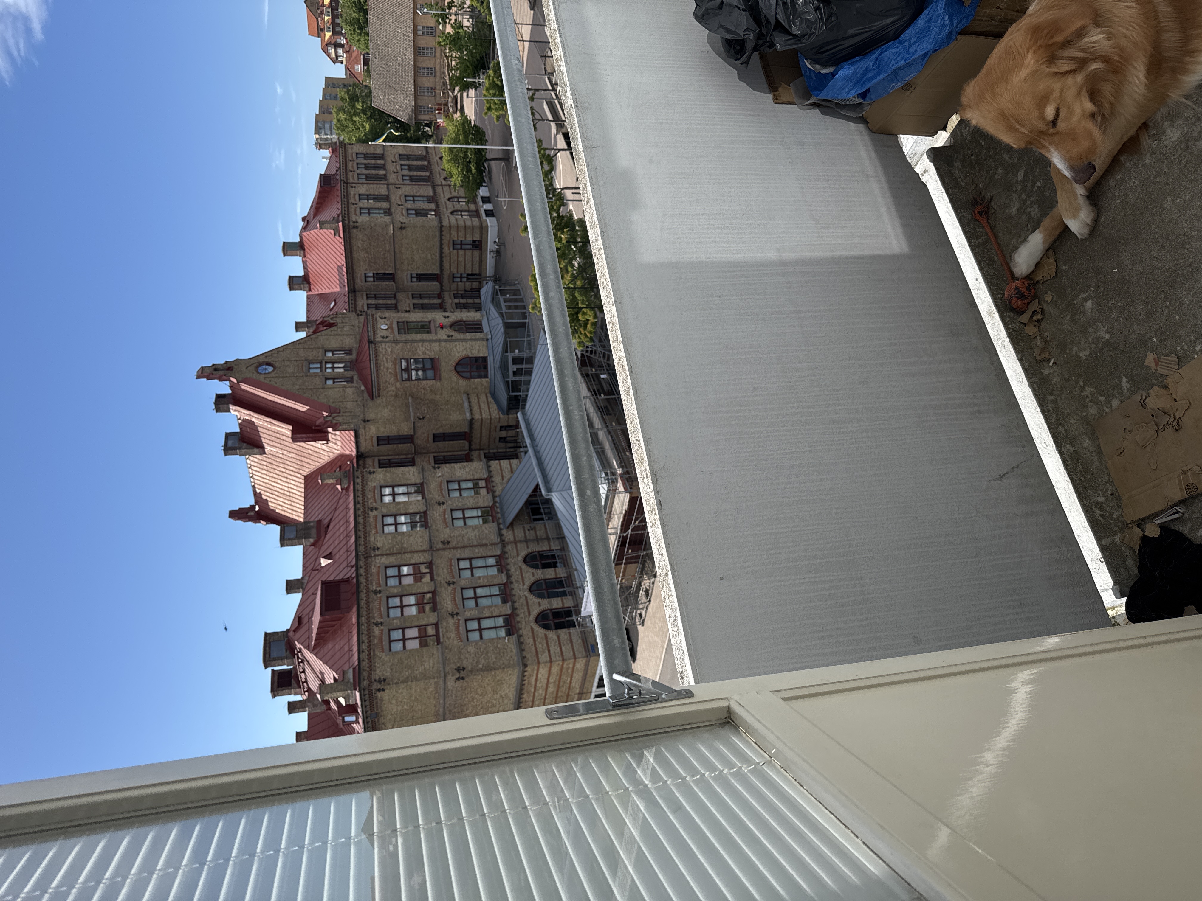 image-12