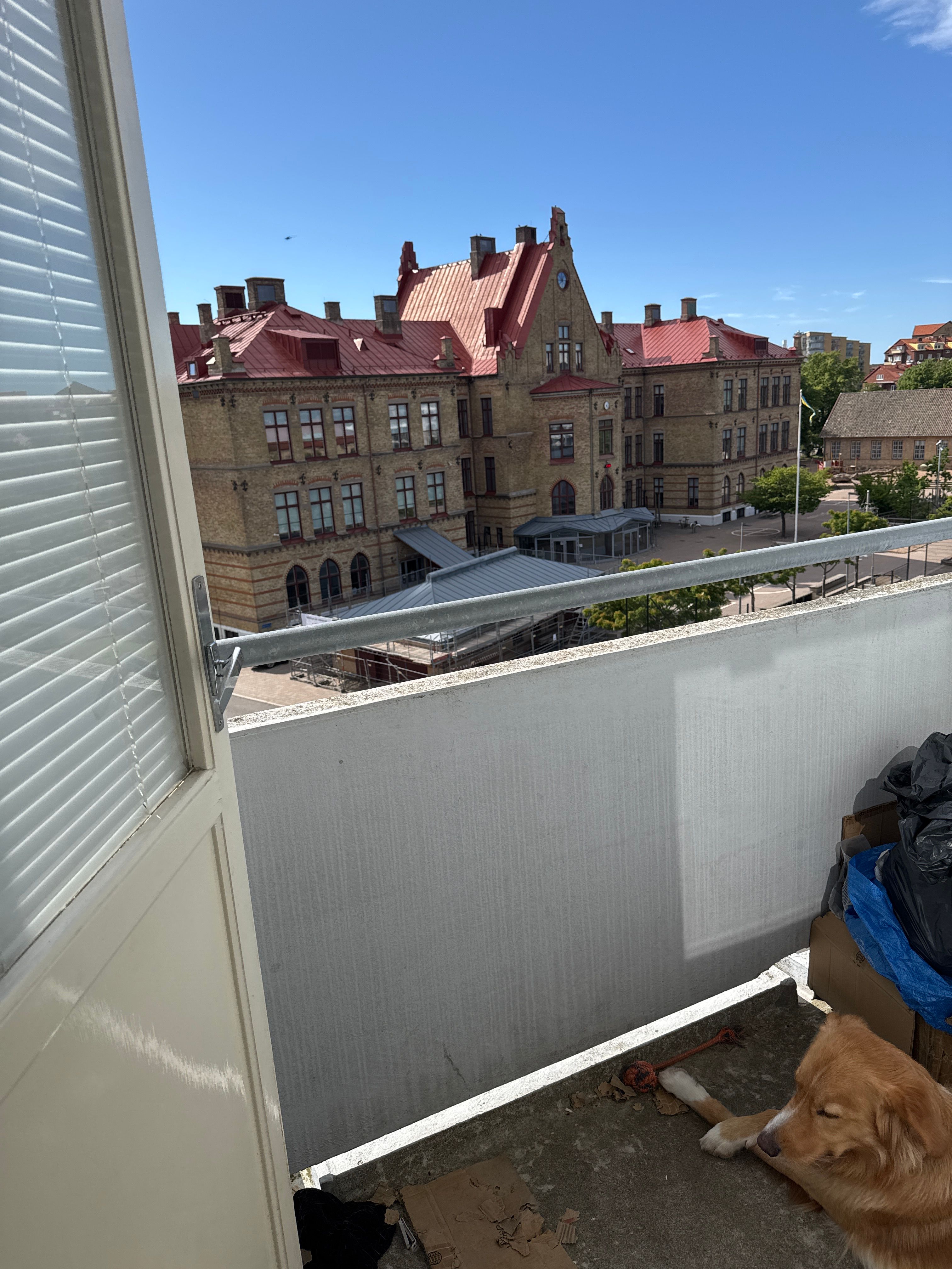 image-12
