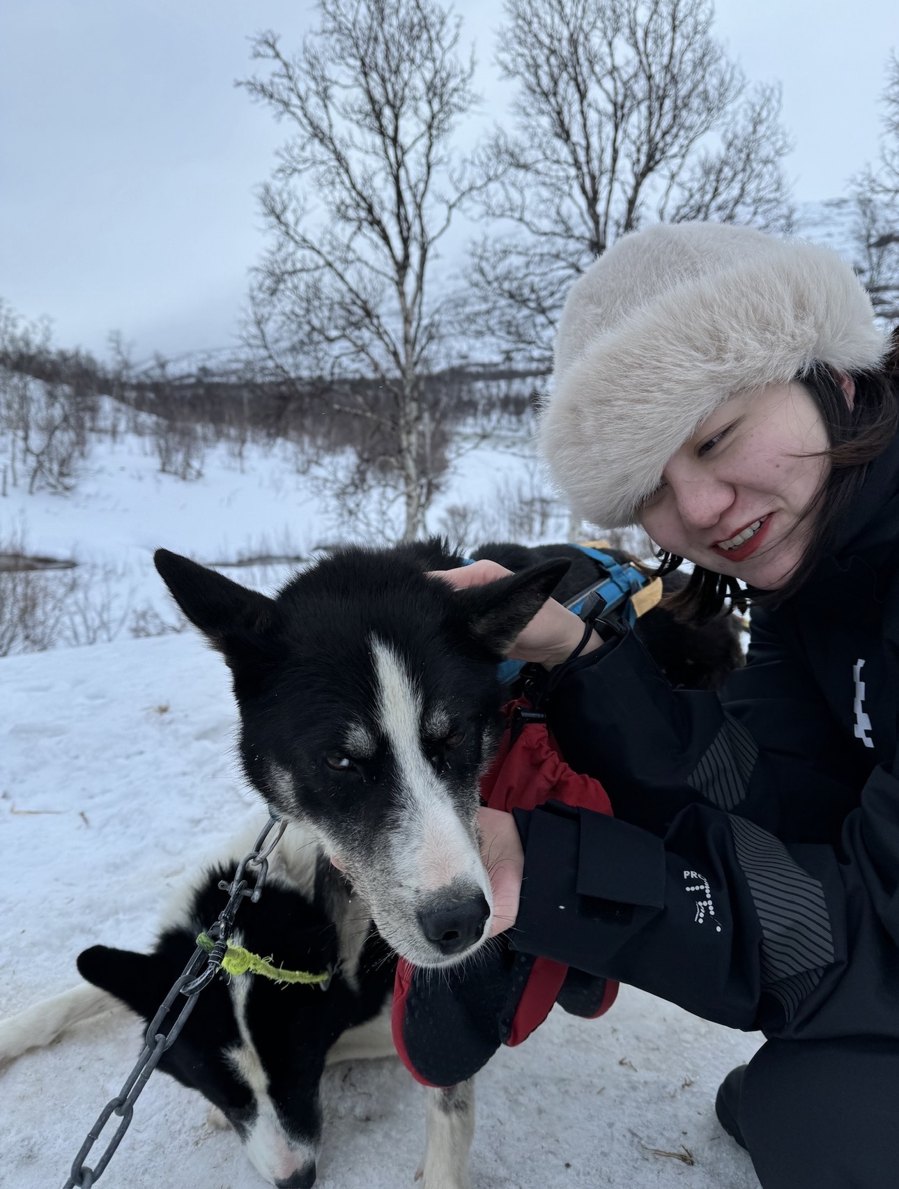 image-6