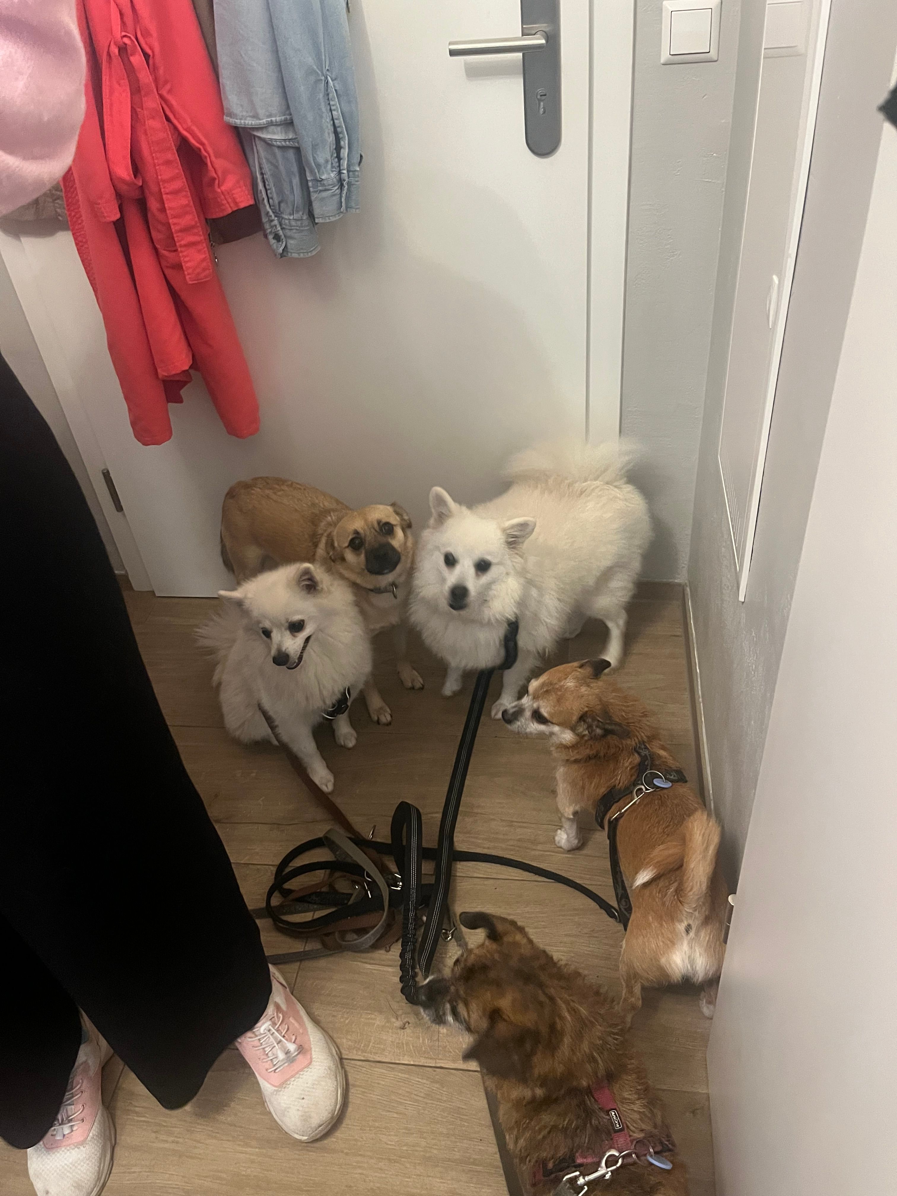 image-10