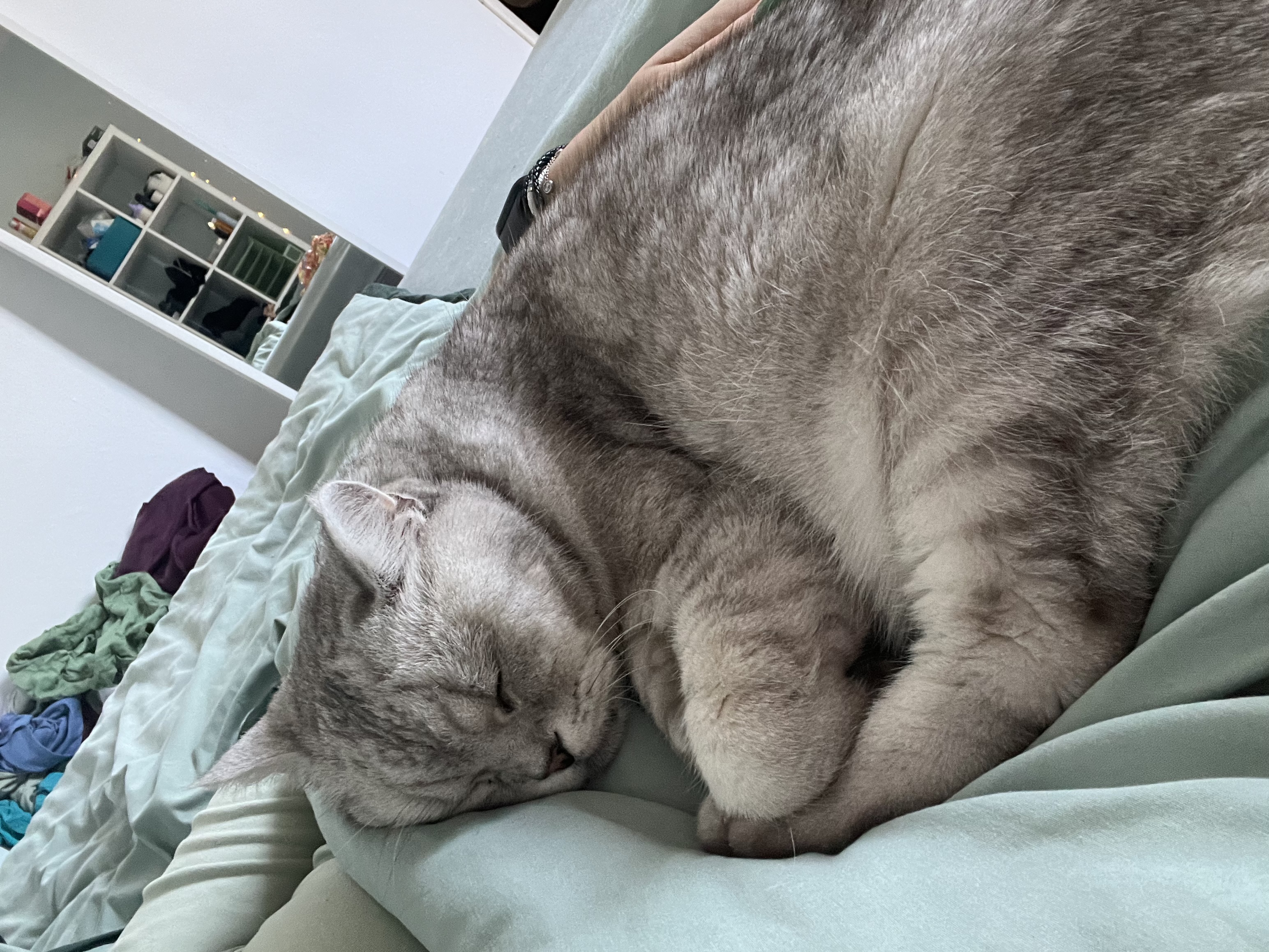 image-6