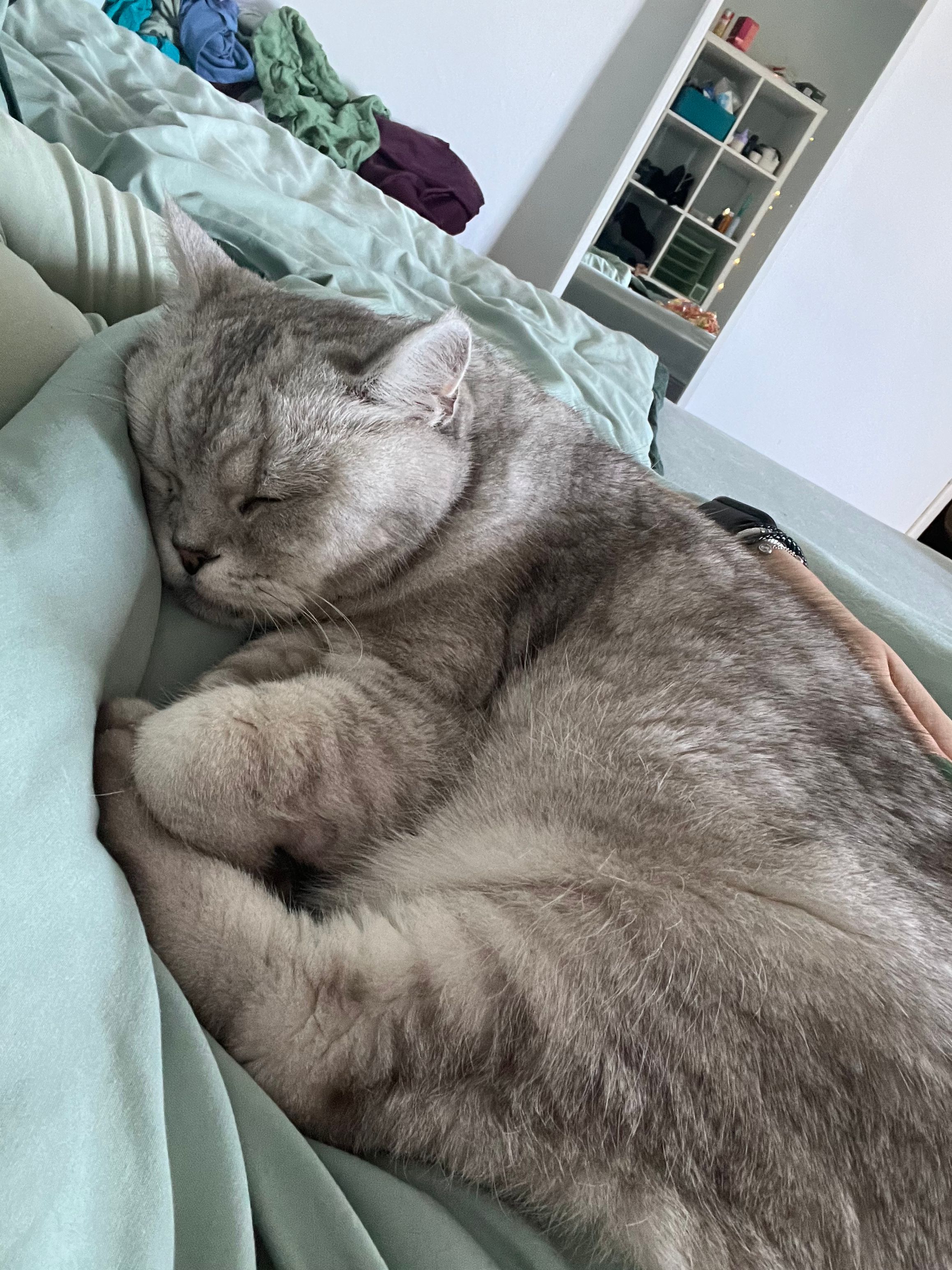 image-6