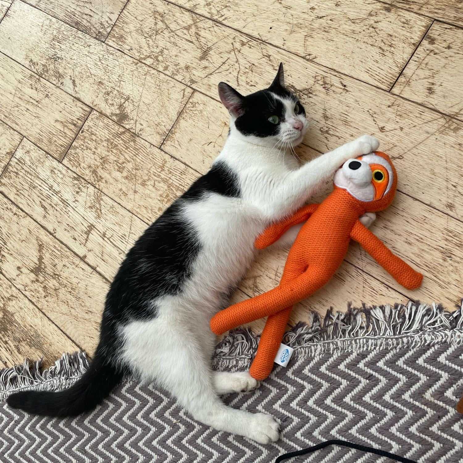 Caoimhe (pronounced Keeva!)