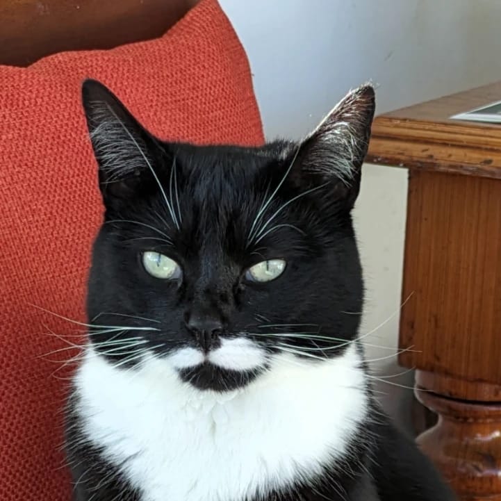 Tash