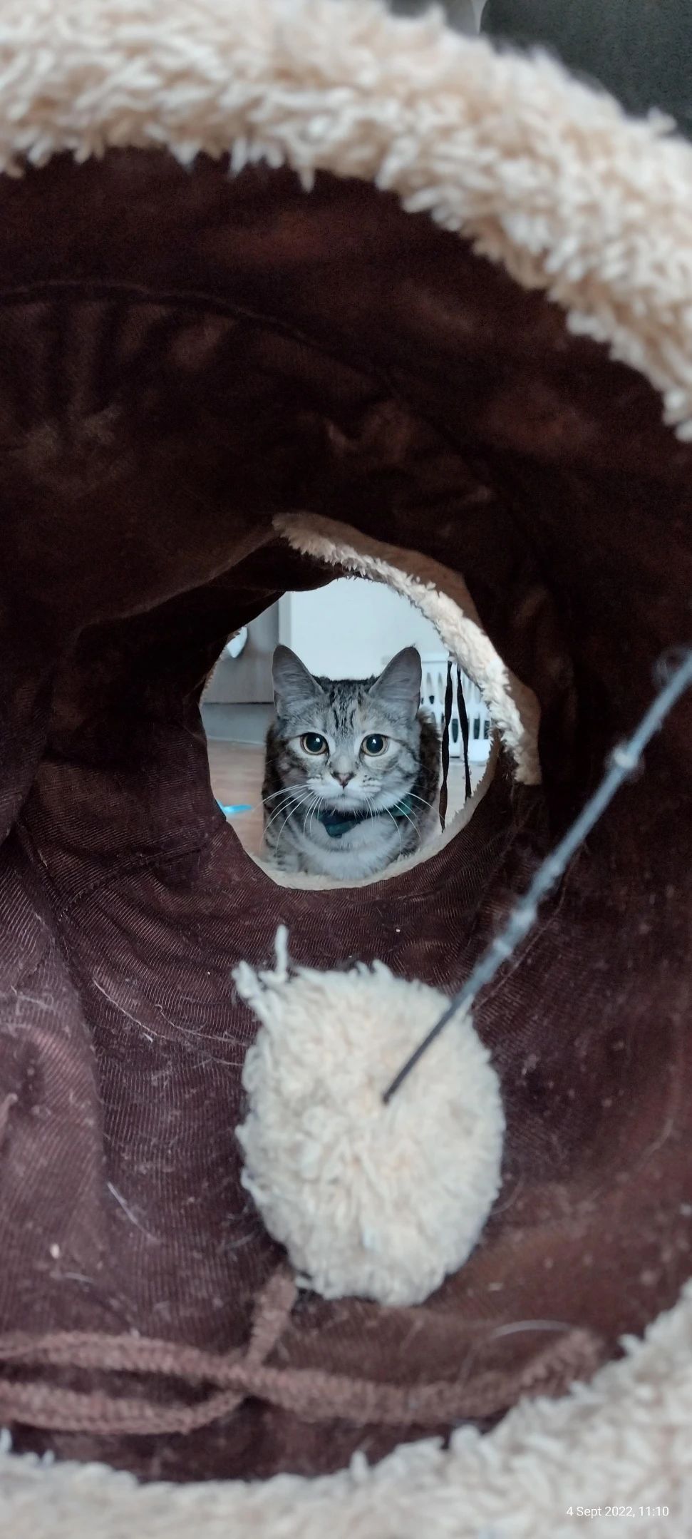 image-6