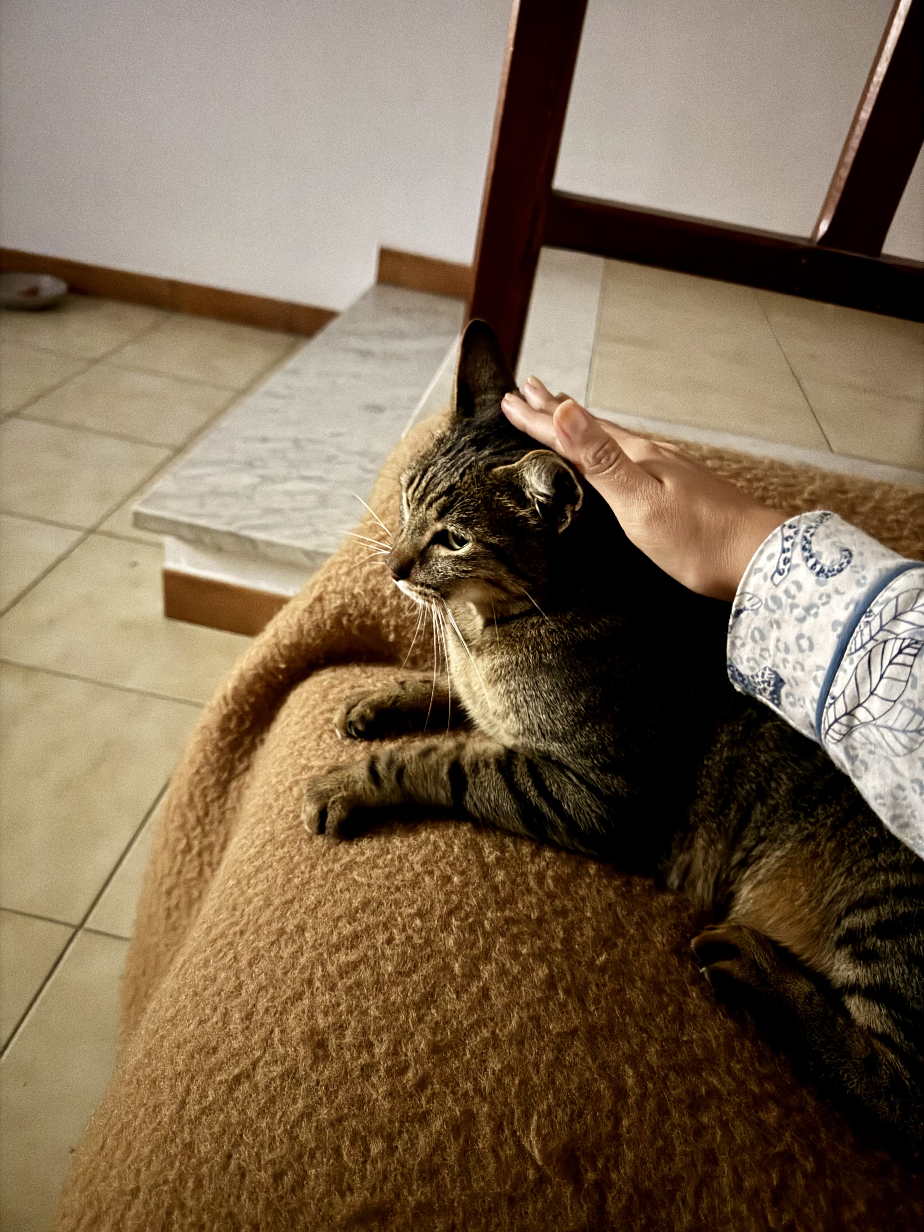image-14
