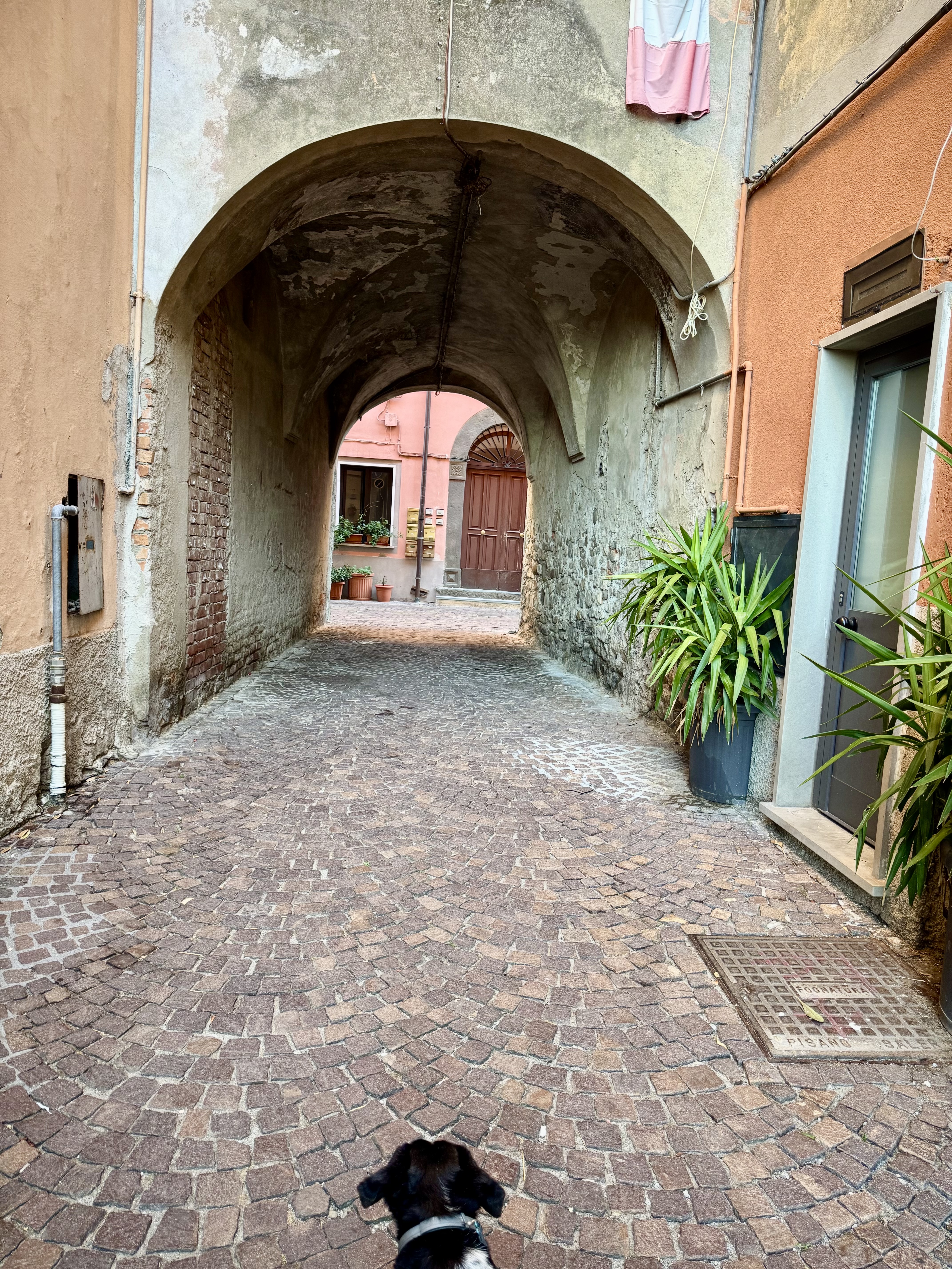 image-19
