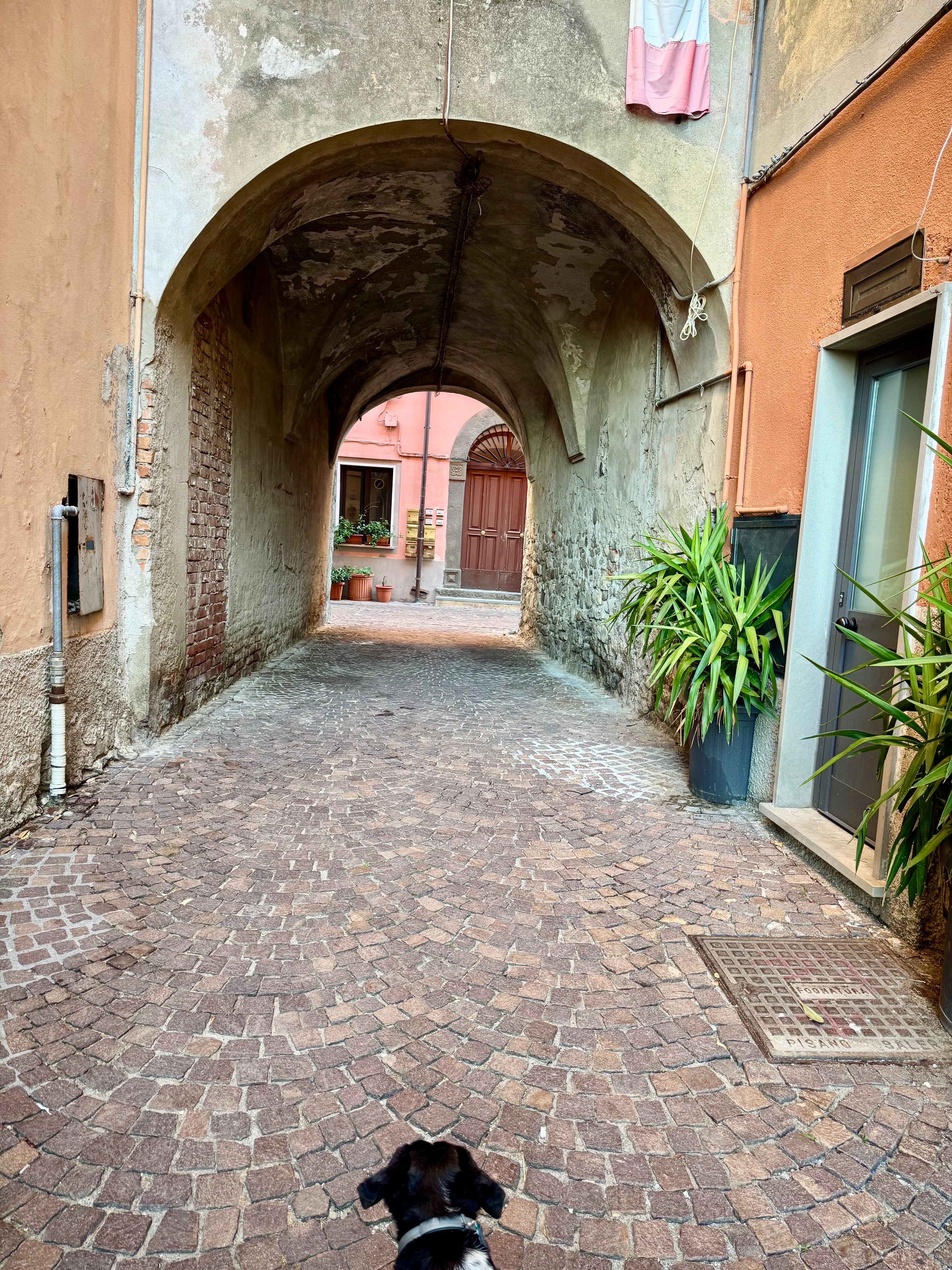 image-19