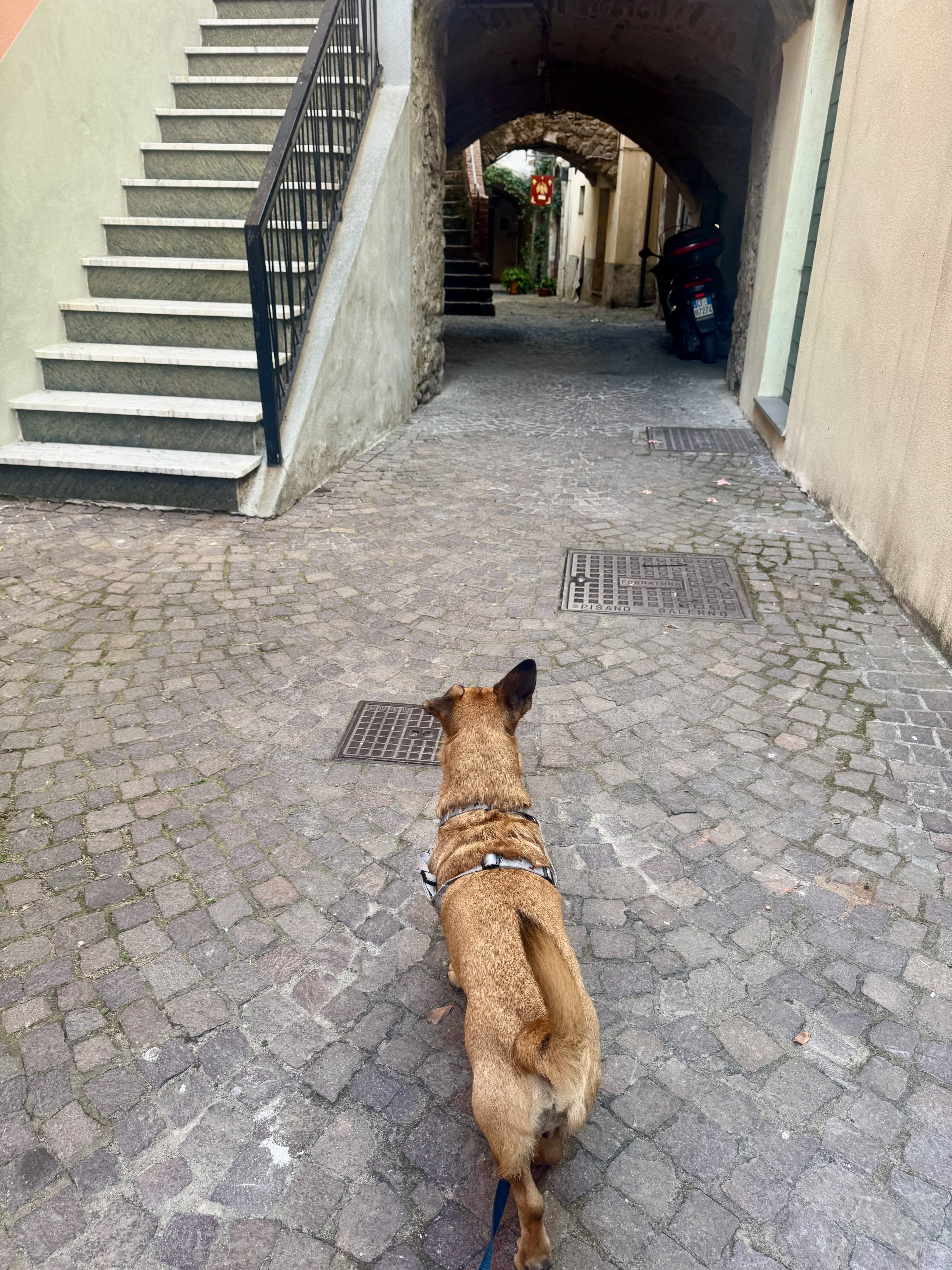image-23