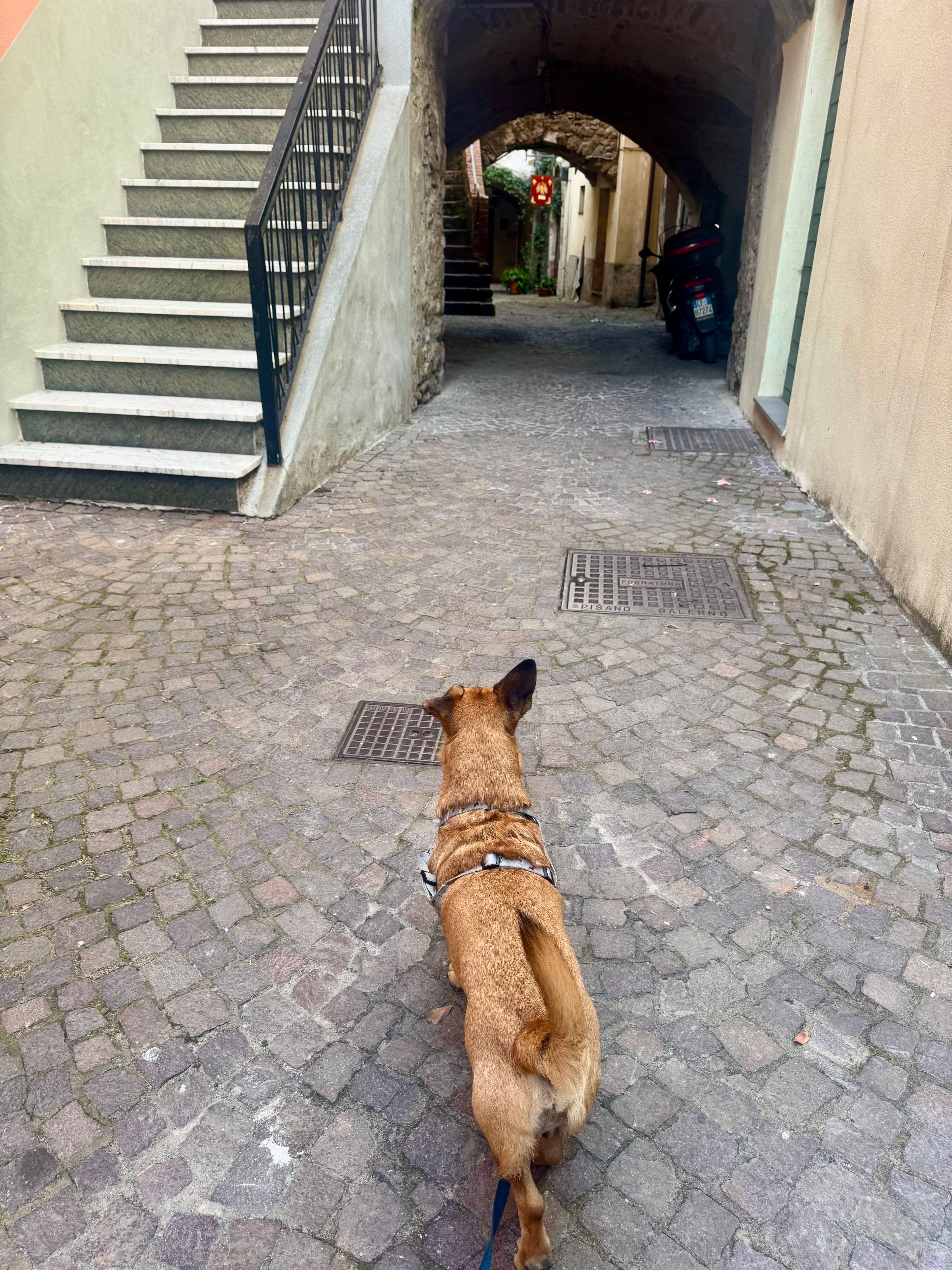 image-23