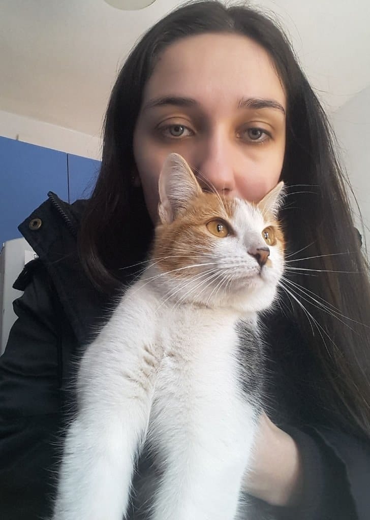 image-8