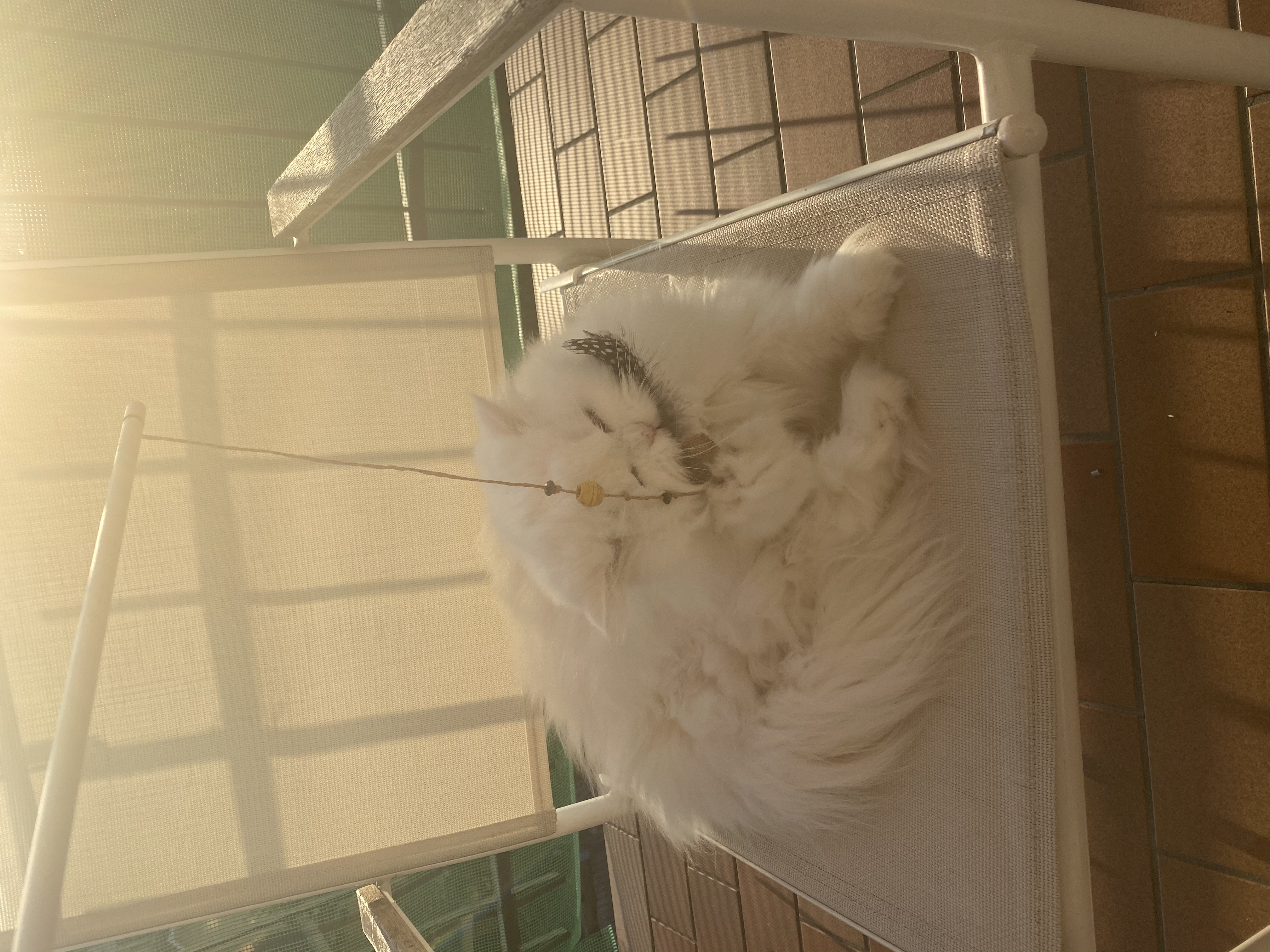 image-9