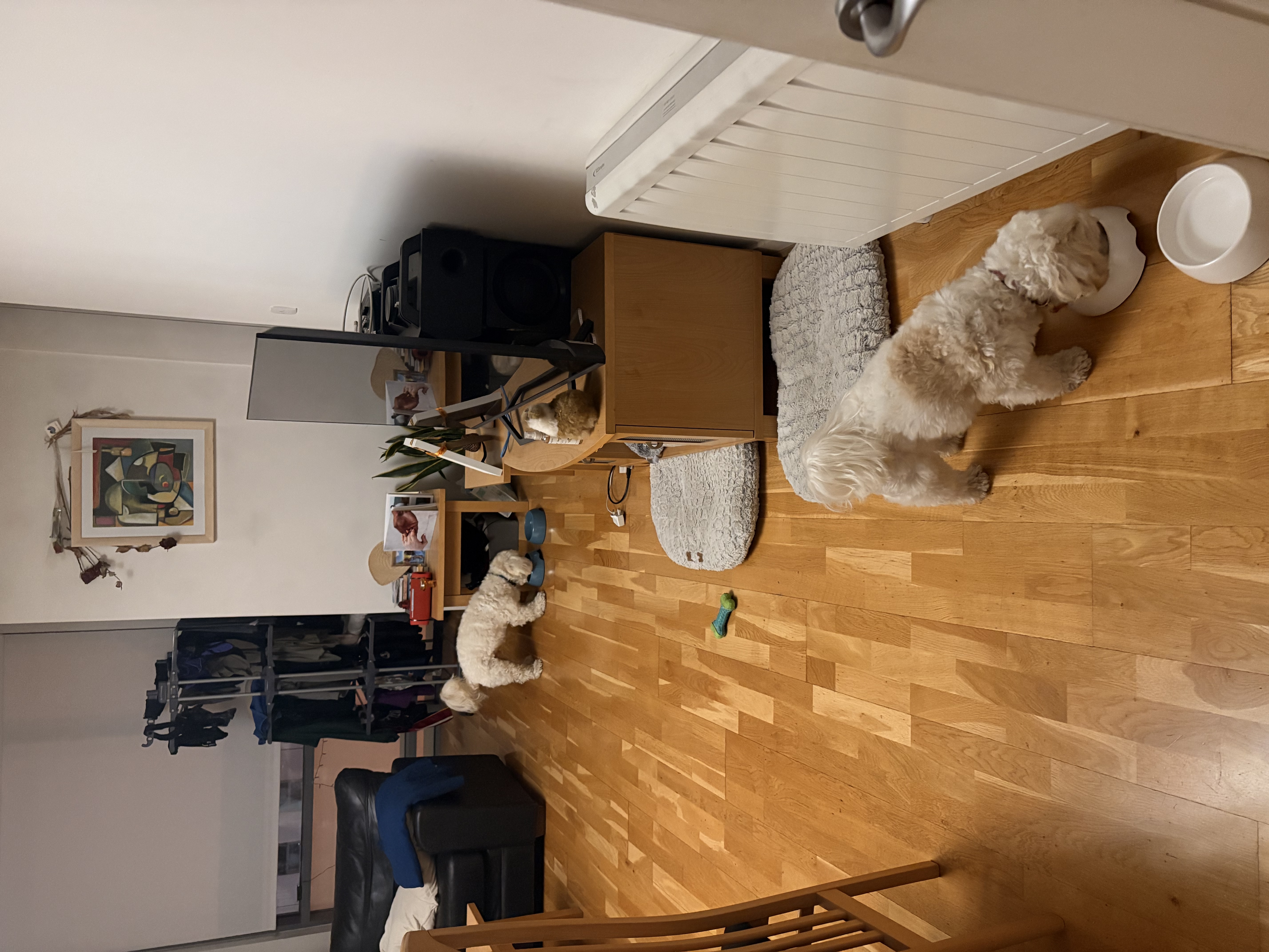 image-13