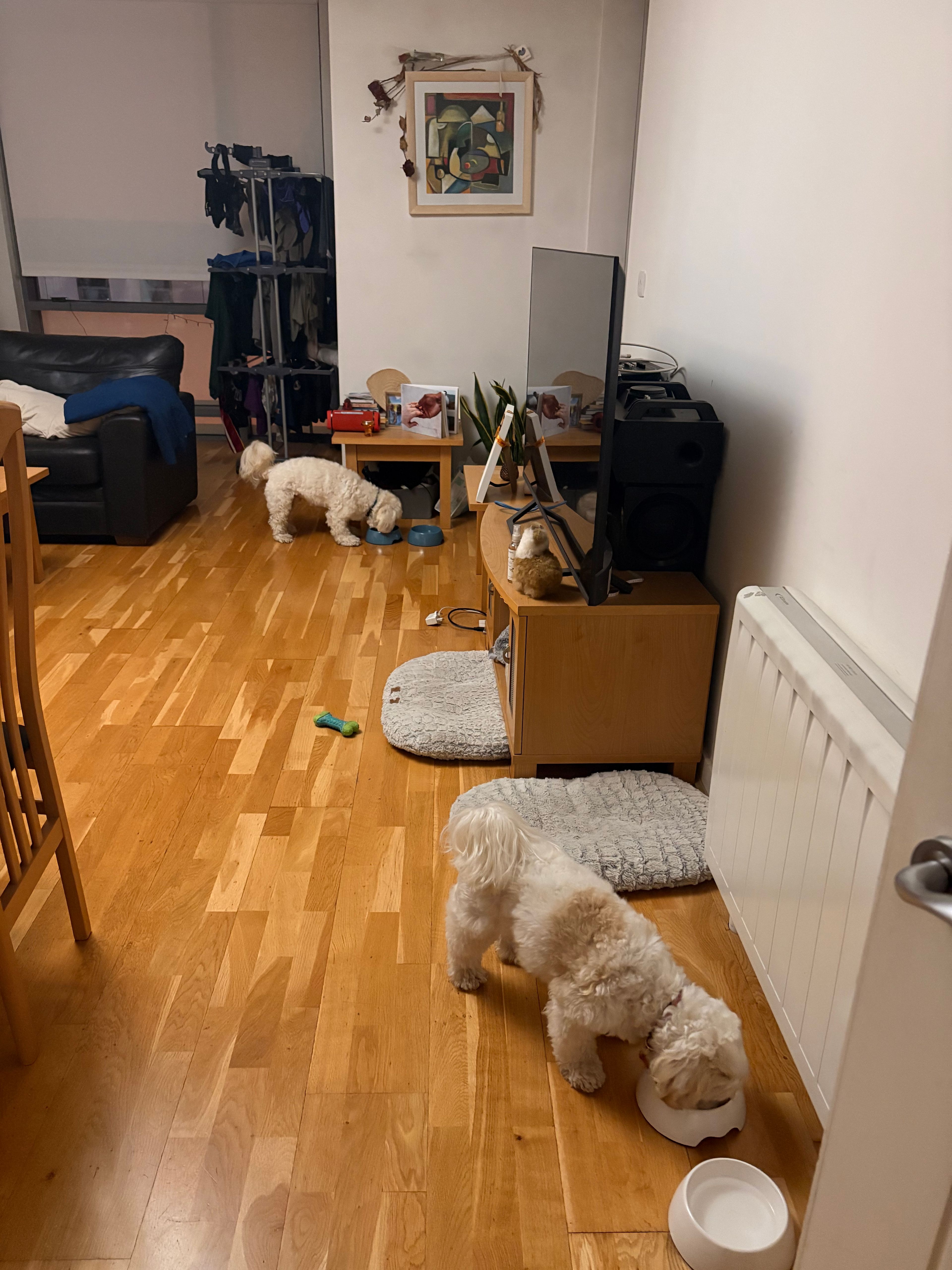 image-13