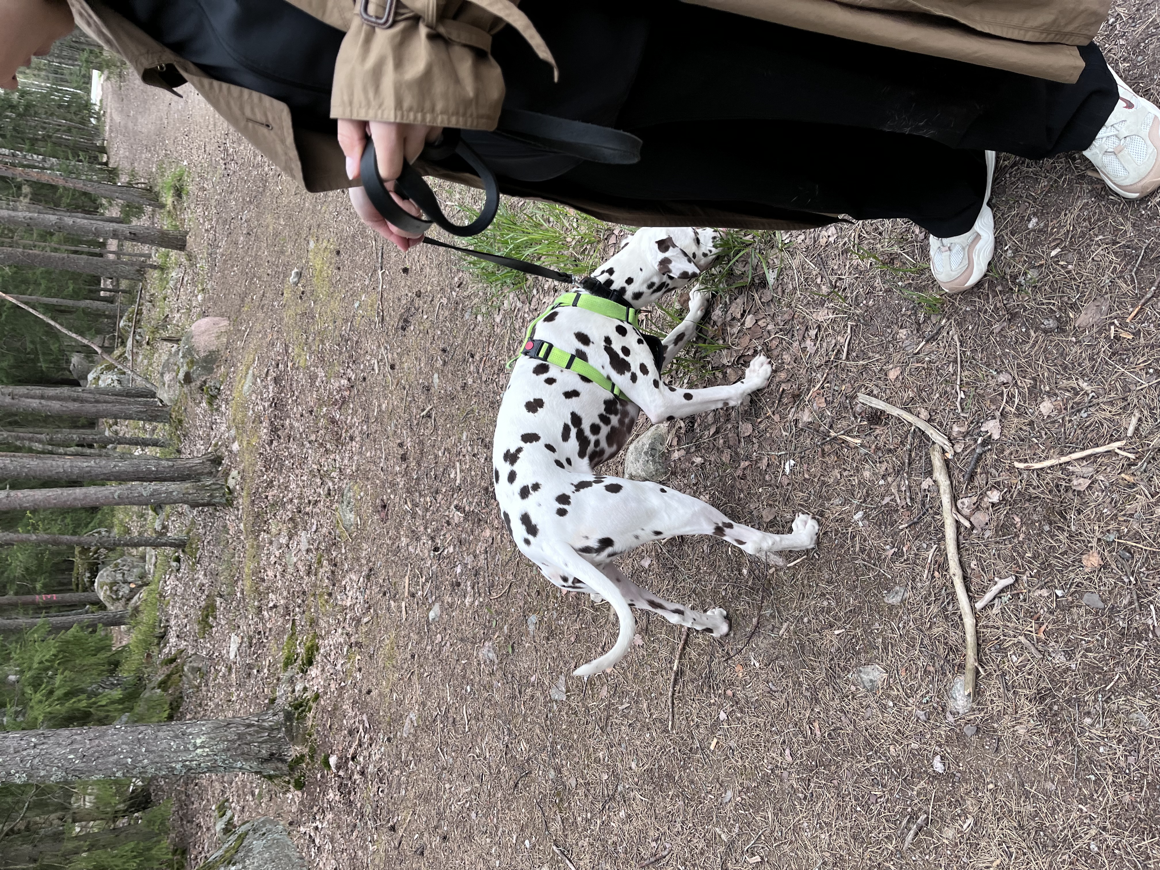 image-8