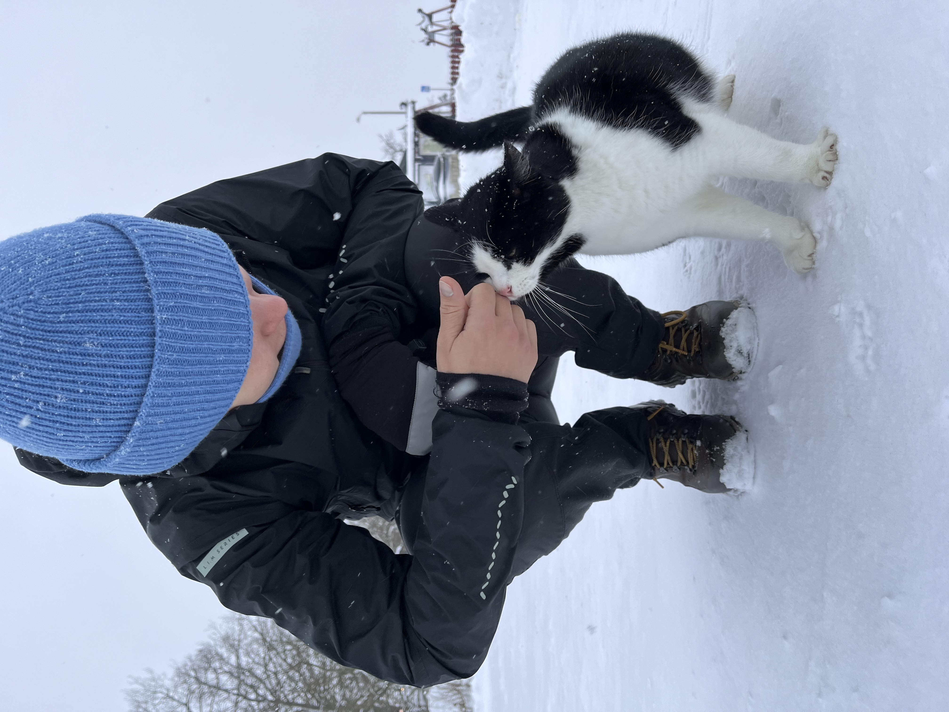 image-6