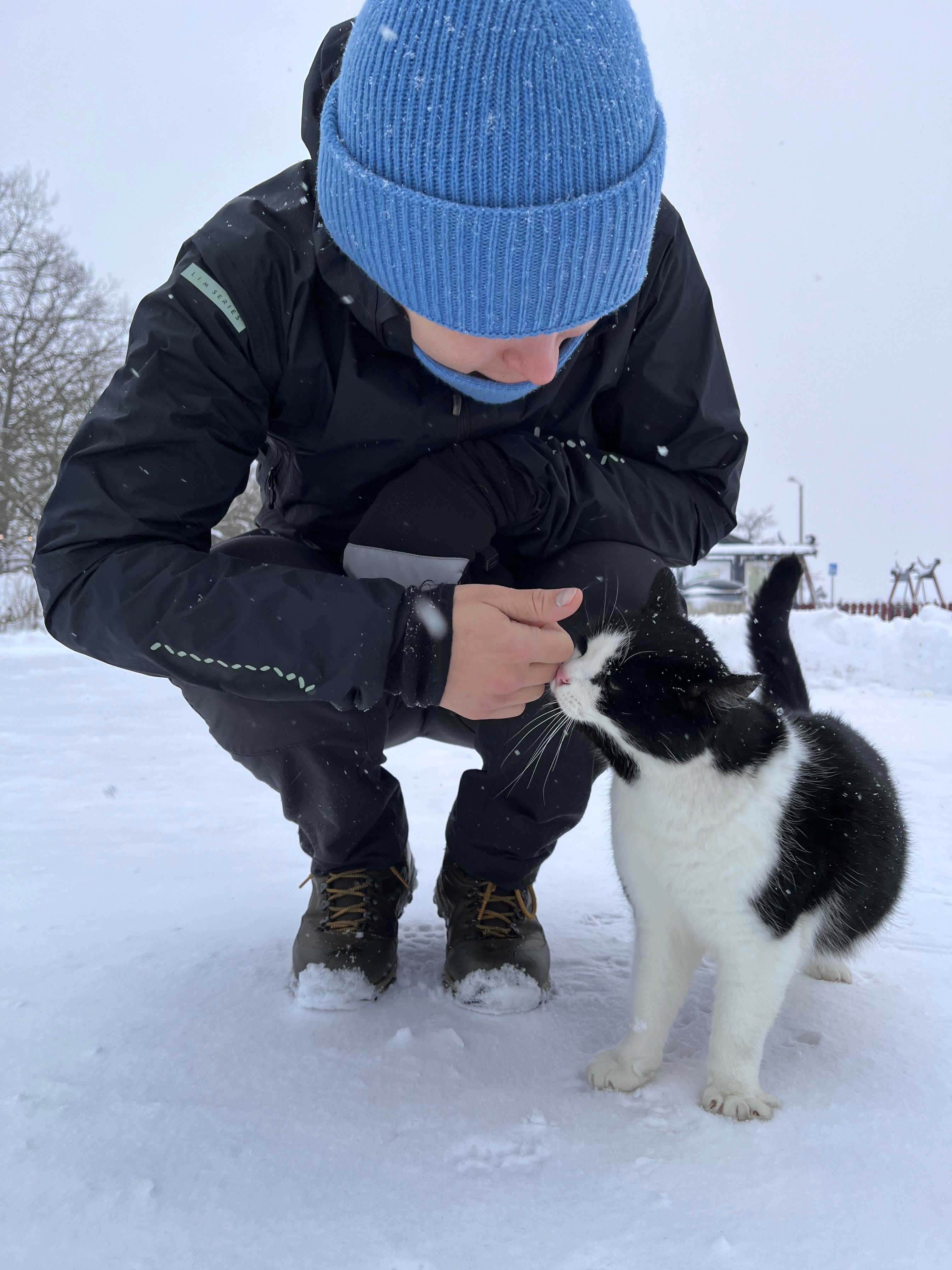 image-6